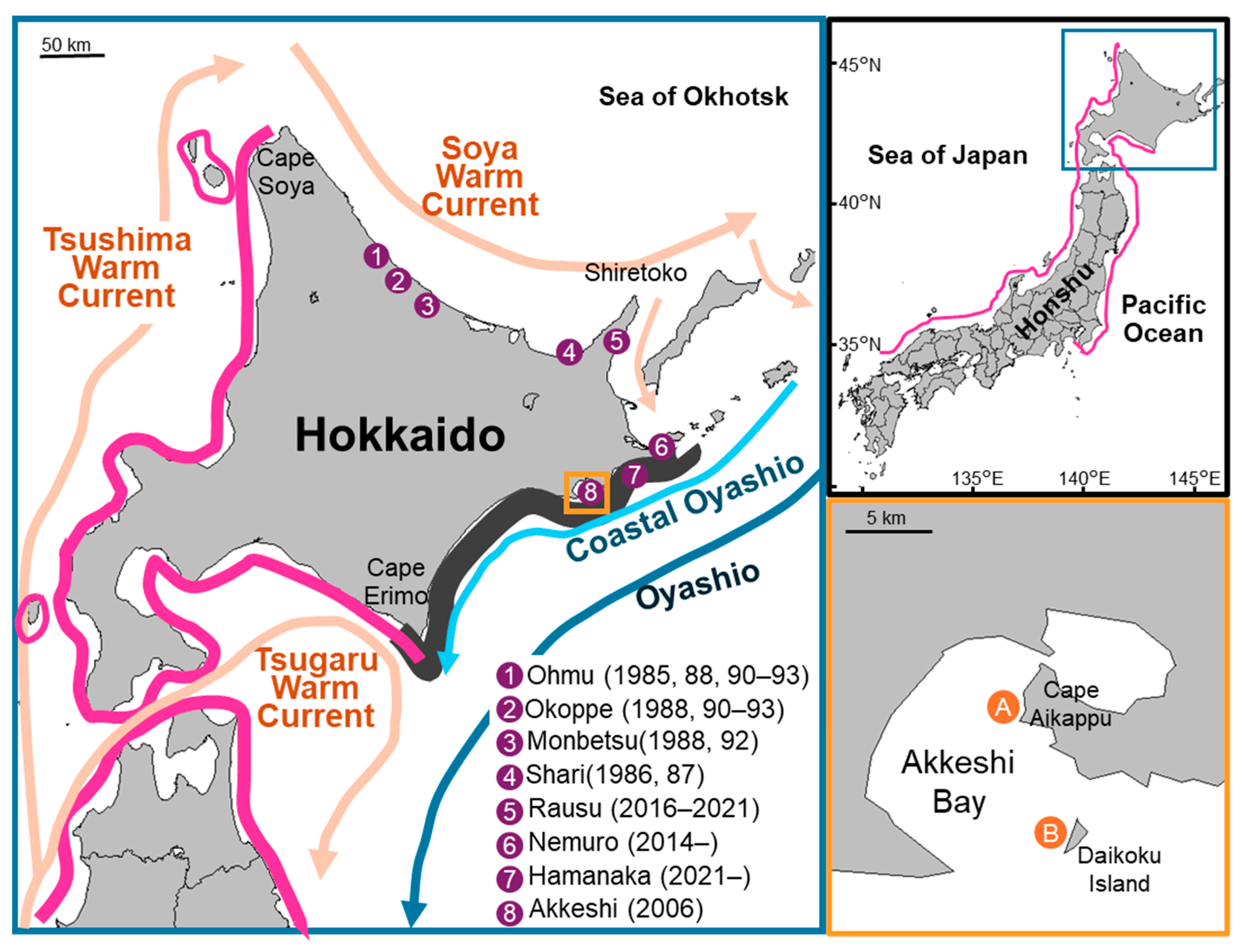 Animals 14 01740 g001