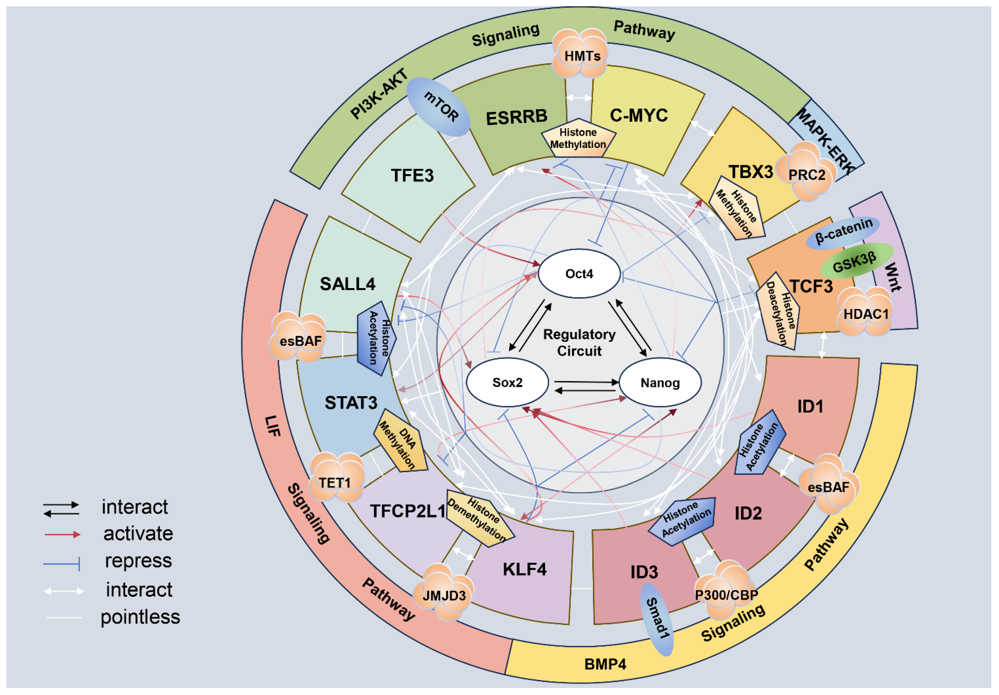Animals 14 01742 g001 Animals 14 01742 g001