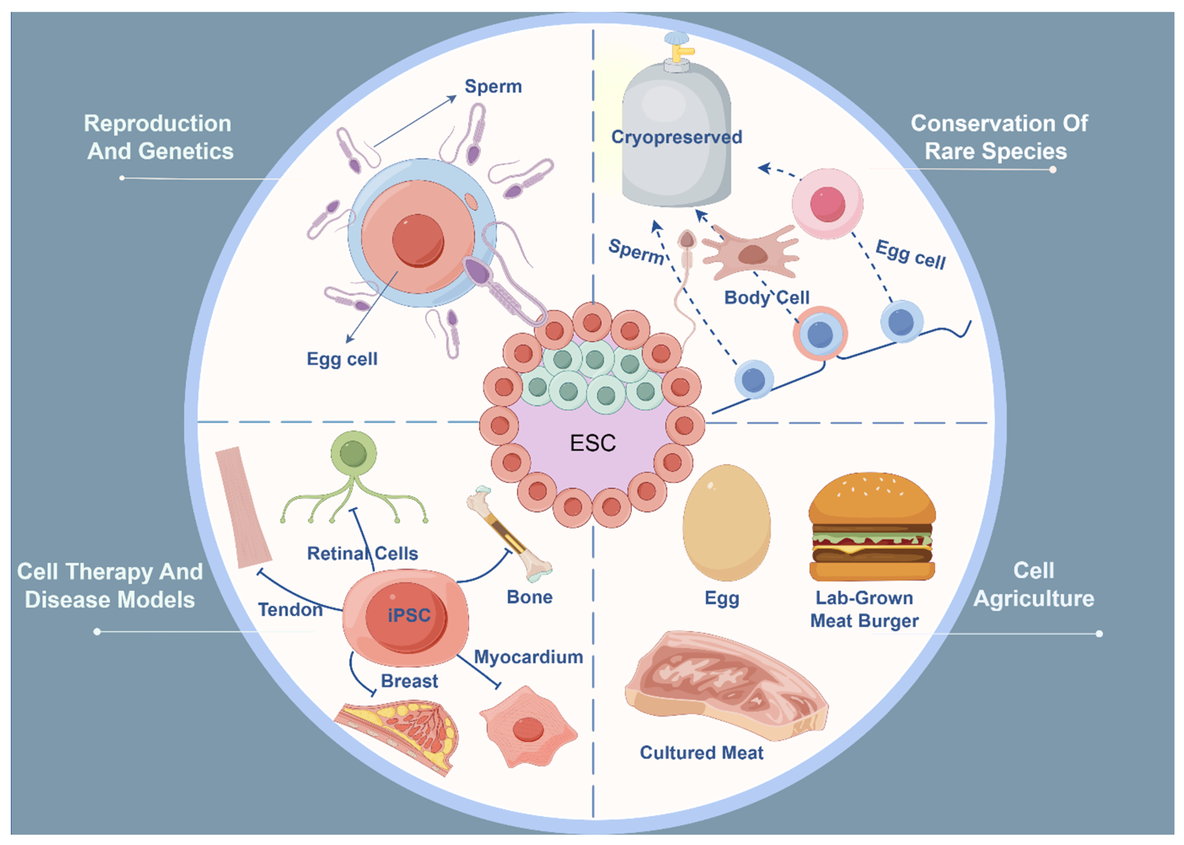 Animals 14 01742 g002 Animals 14 01742 g002