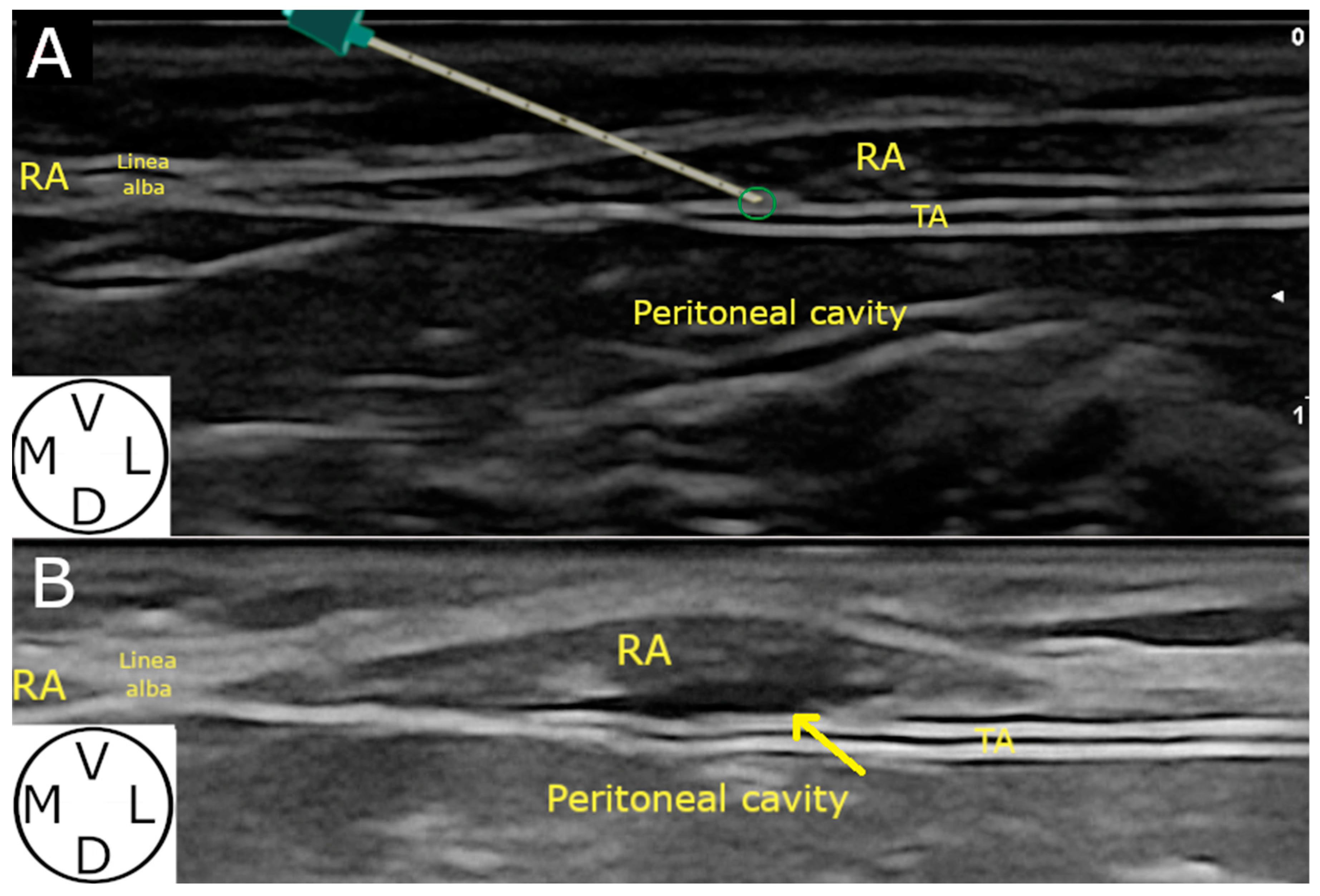 Animals 14 01743 g002