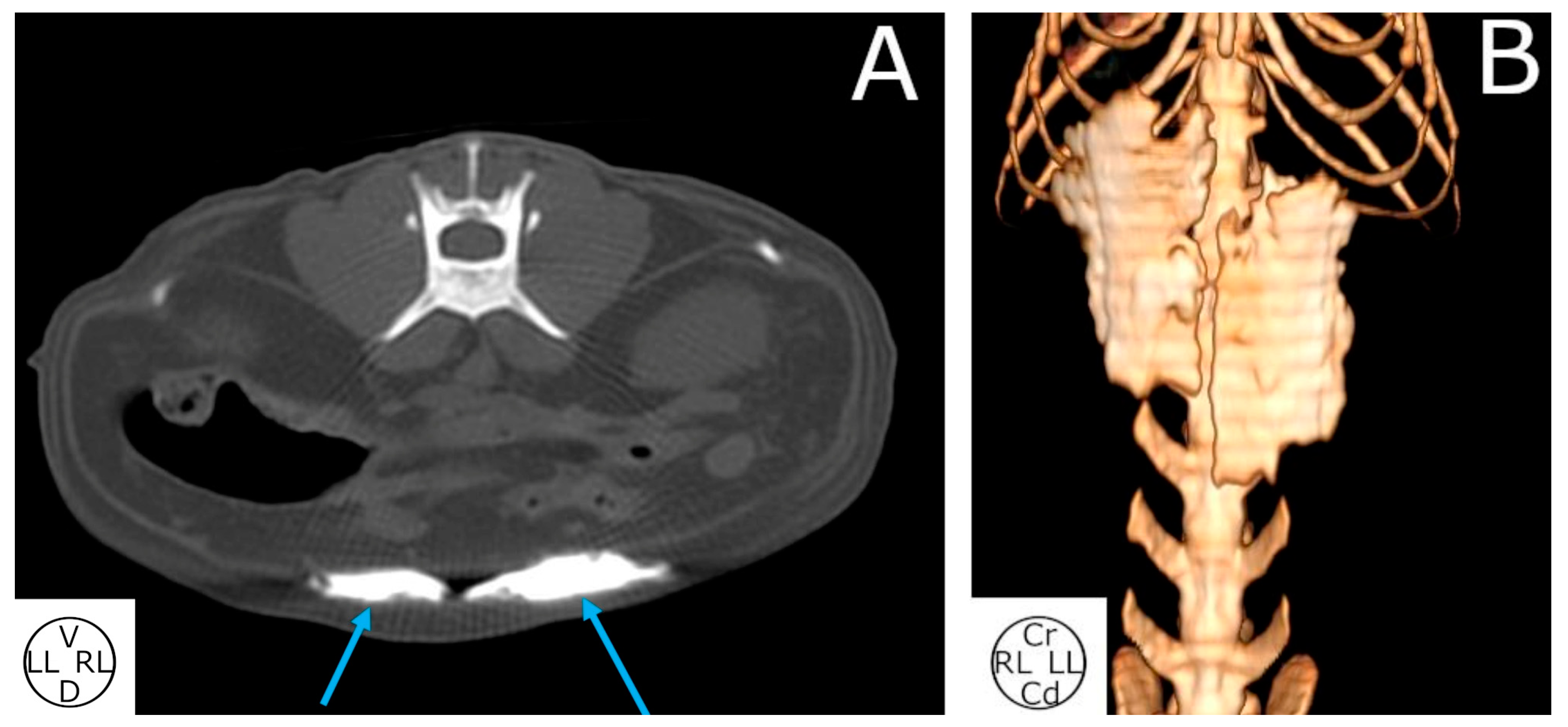 Animals 14 01743 g004