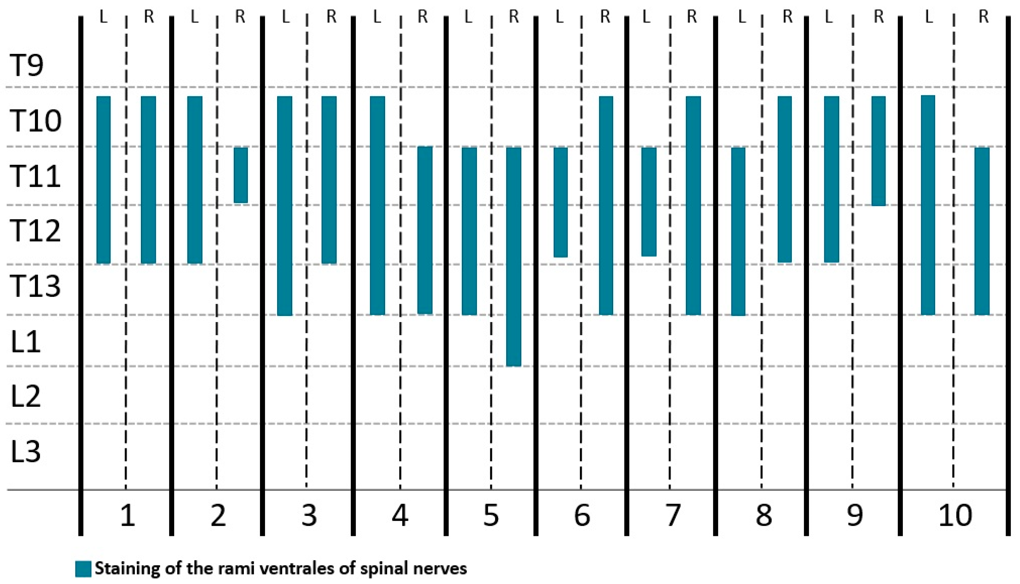 Animals 14 01743 g006