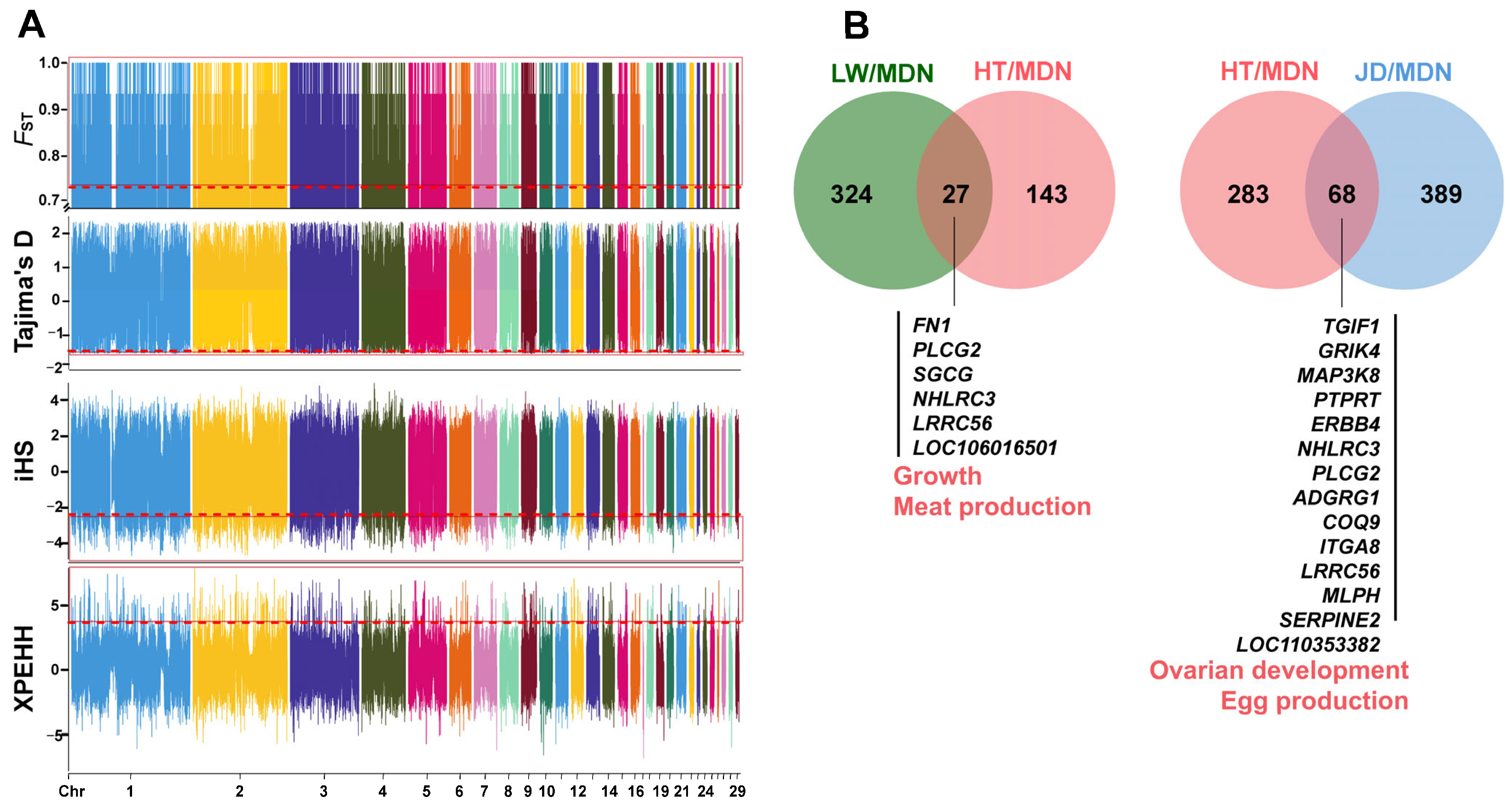 Animals 14 01747 g004