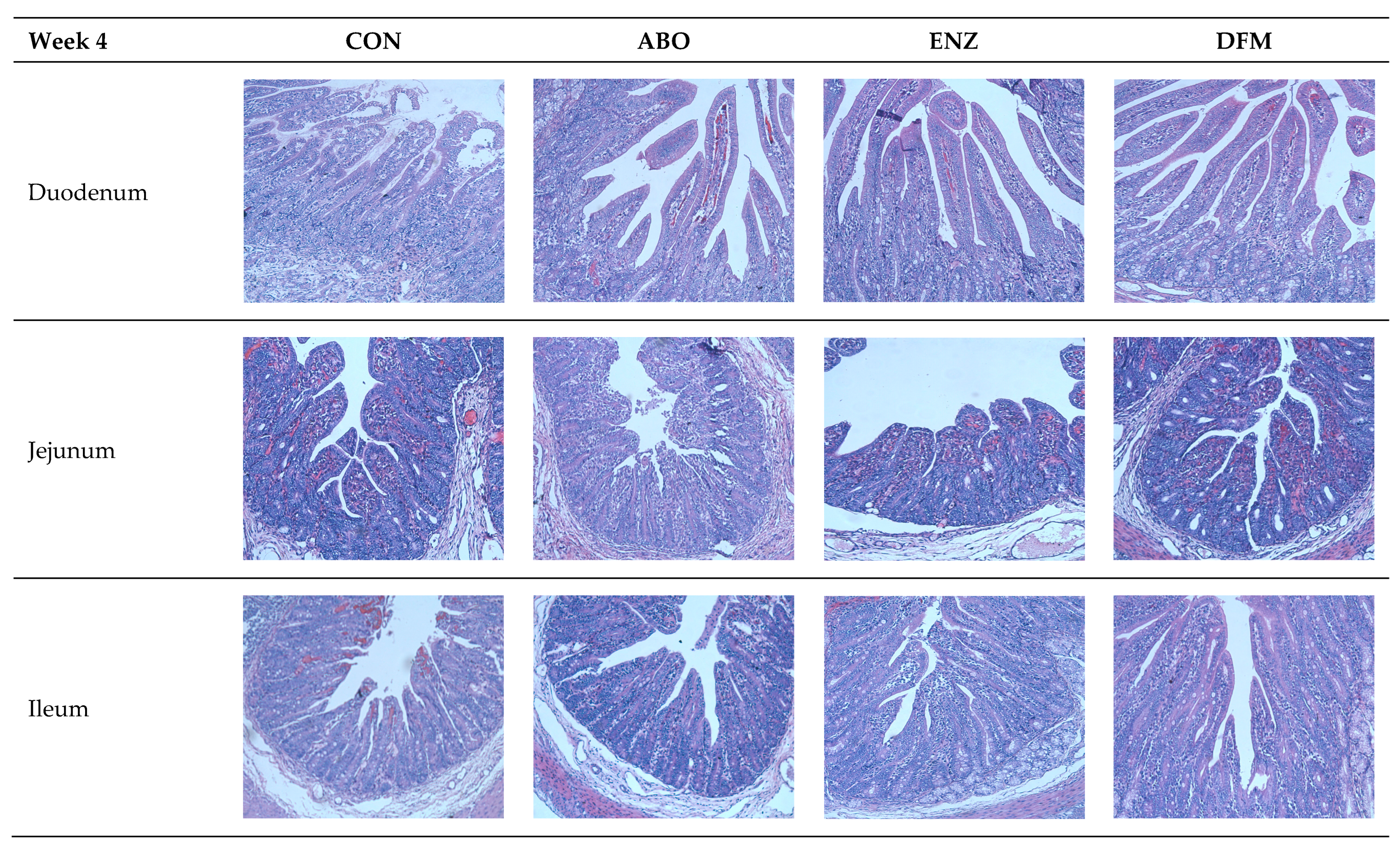 Animals 14 01749 g002b