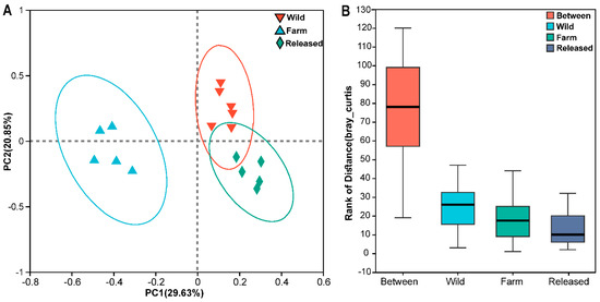 https://www.mdpi.com/animals/animals-14-01750/article_deploy/html/images/animals-14-01750-g001-550.jpg