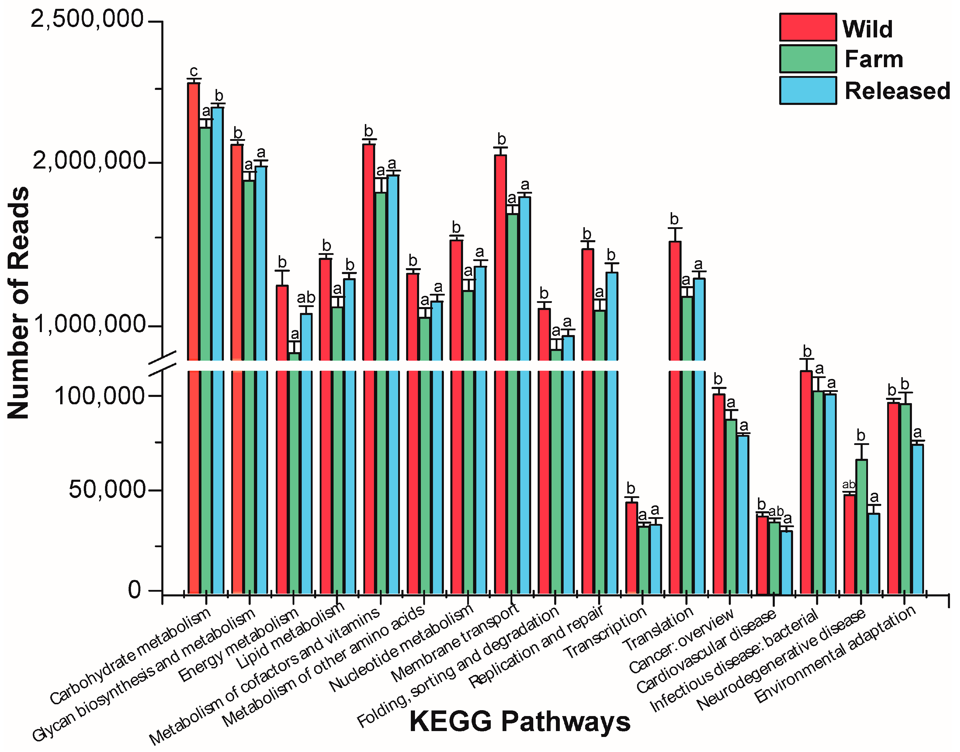 Animals 14 01750 g004