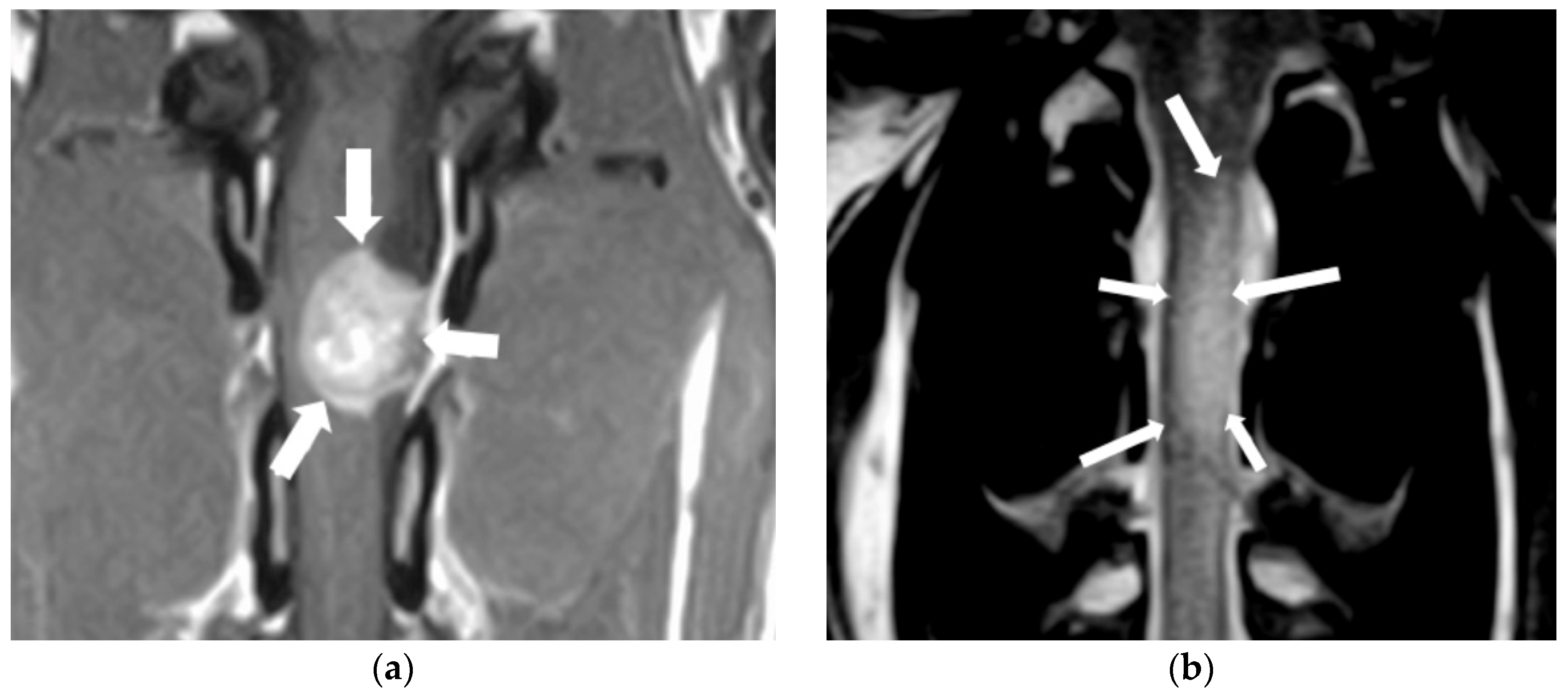 Animals 14 01753 g005