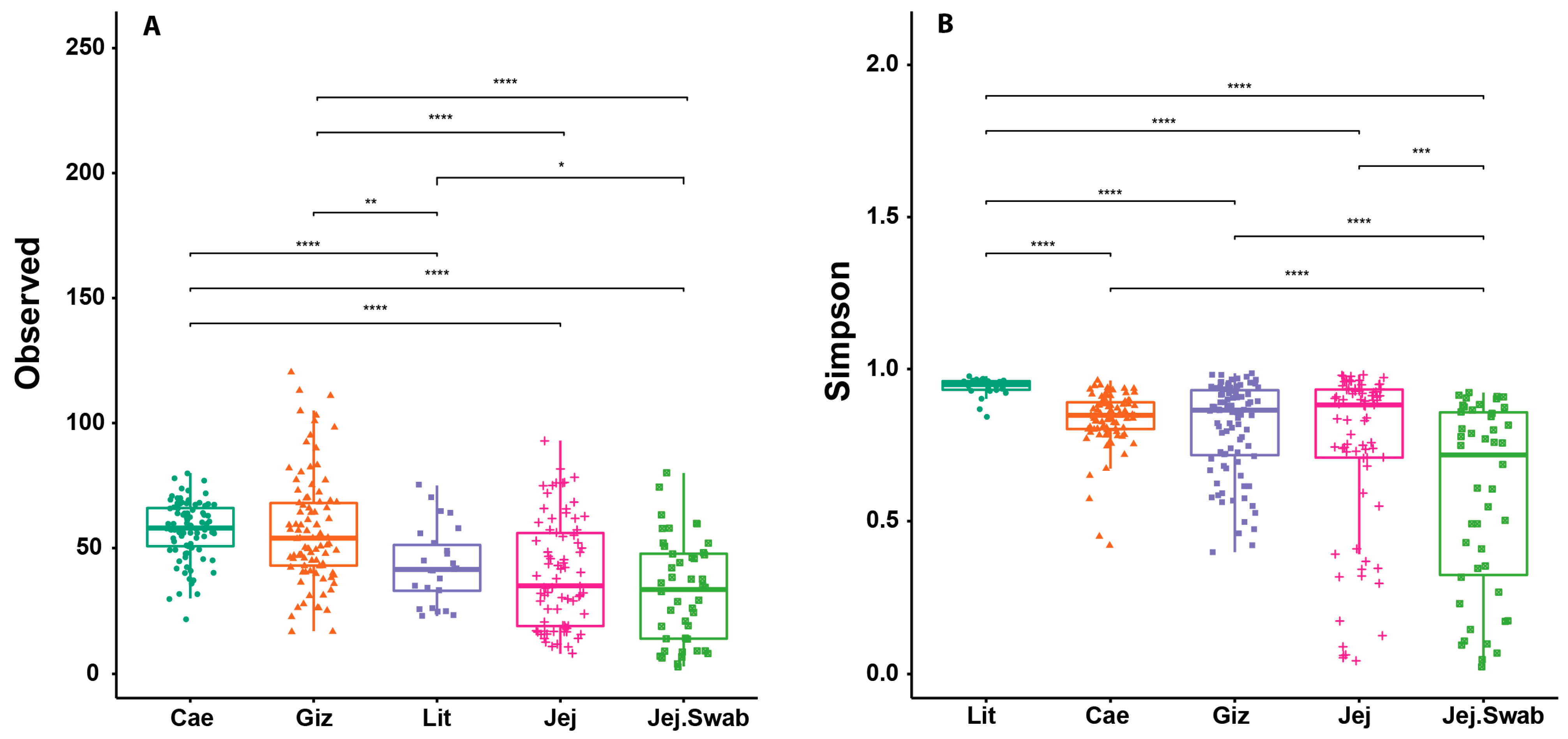 Animals 14 01758 g001