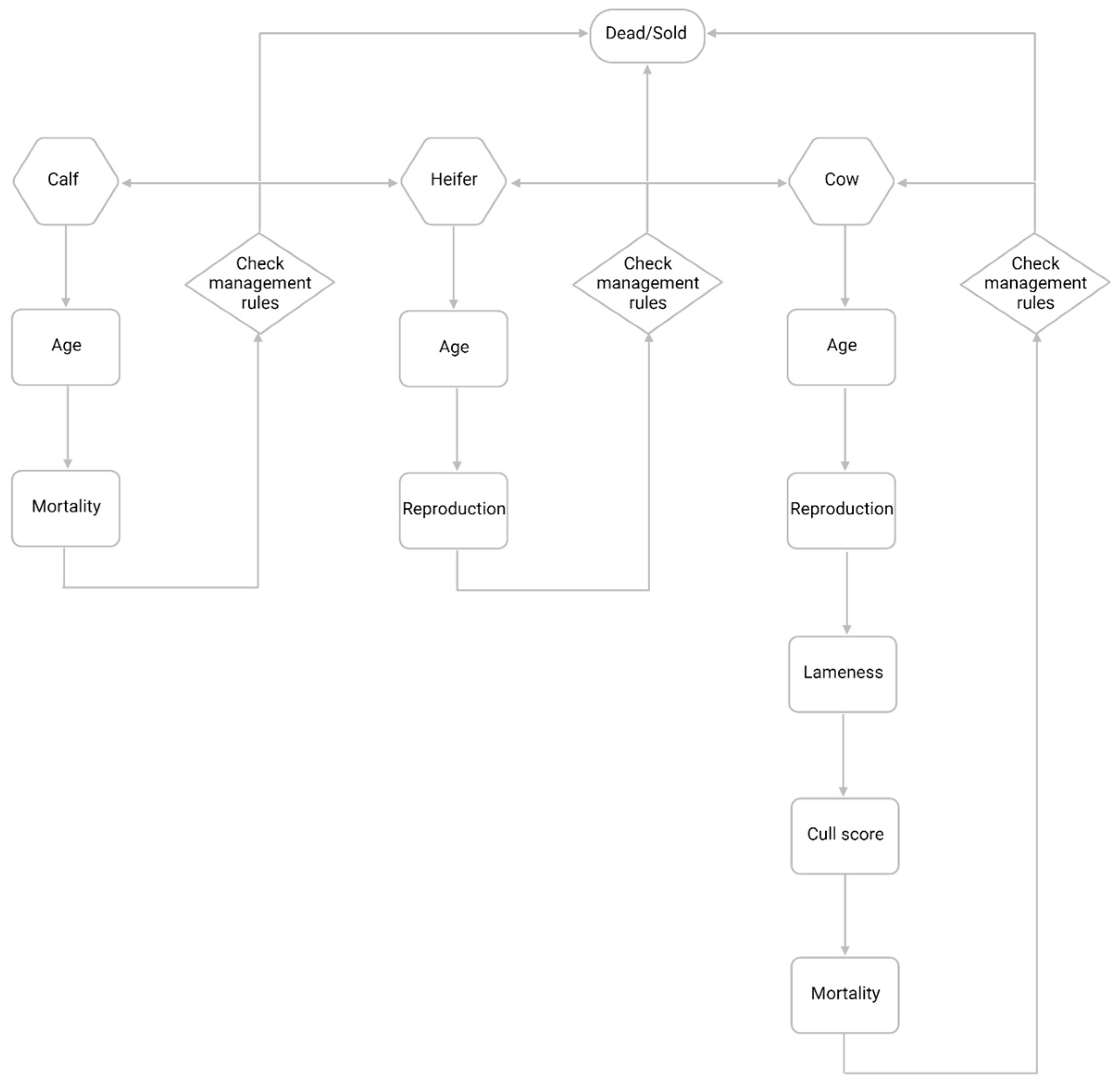 Animals 14 01760 g001