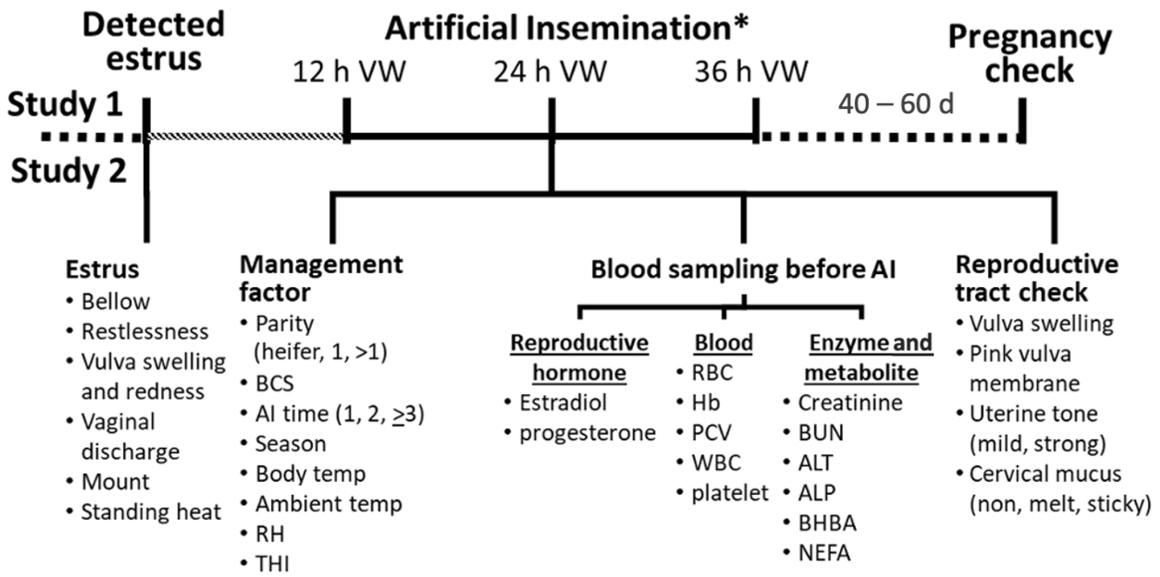 Animals 14 01763 g001