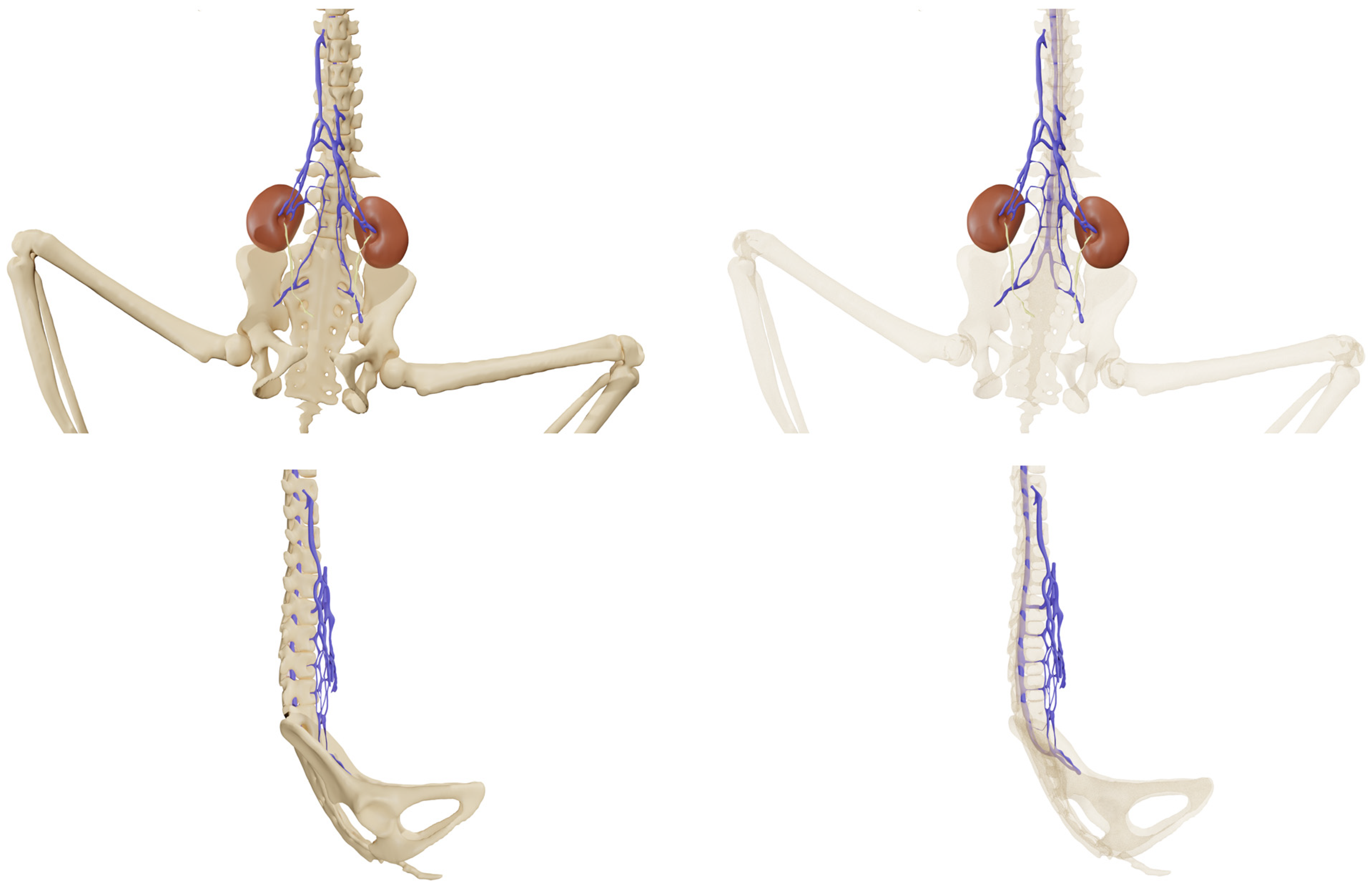 Animals 14 01768 g006