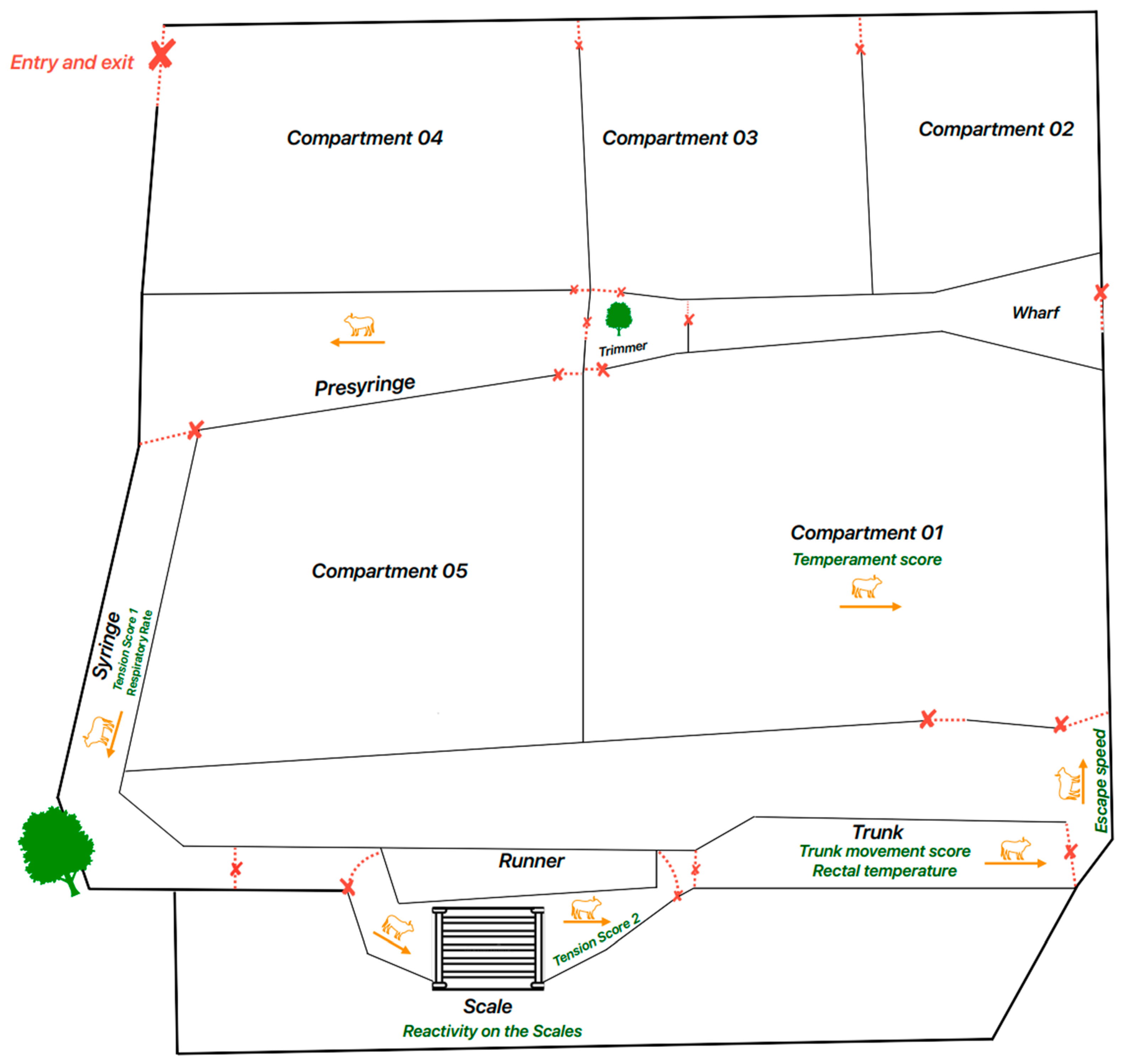 Animals 14 01769 g002