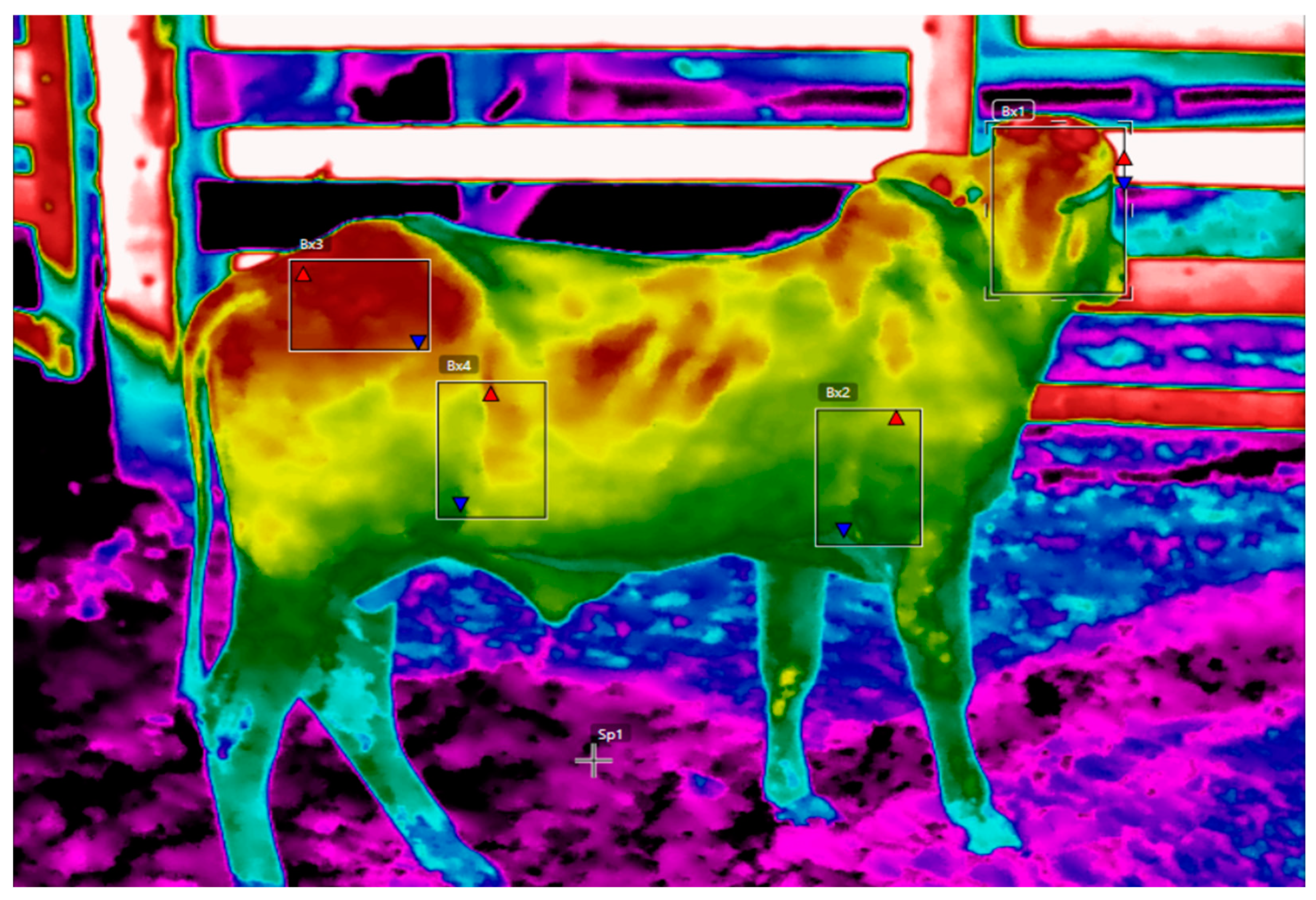 Animals 14 01769 g003