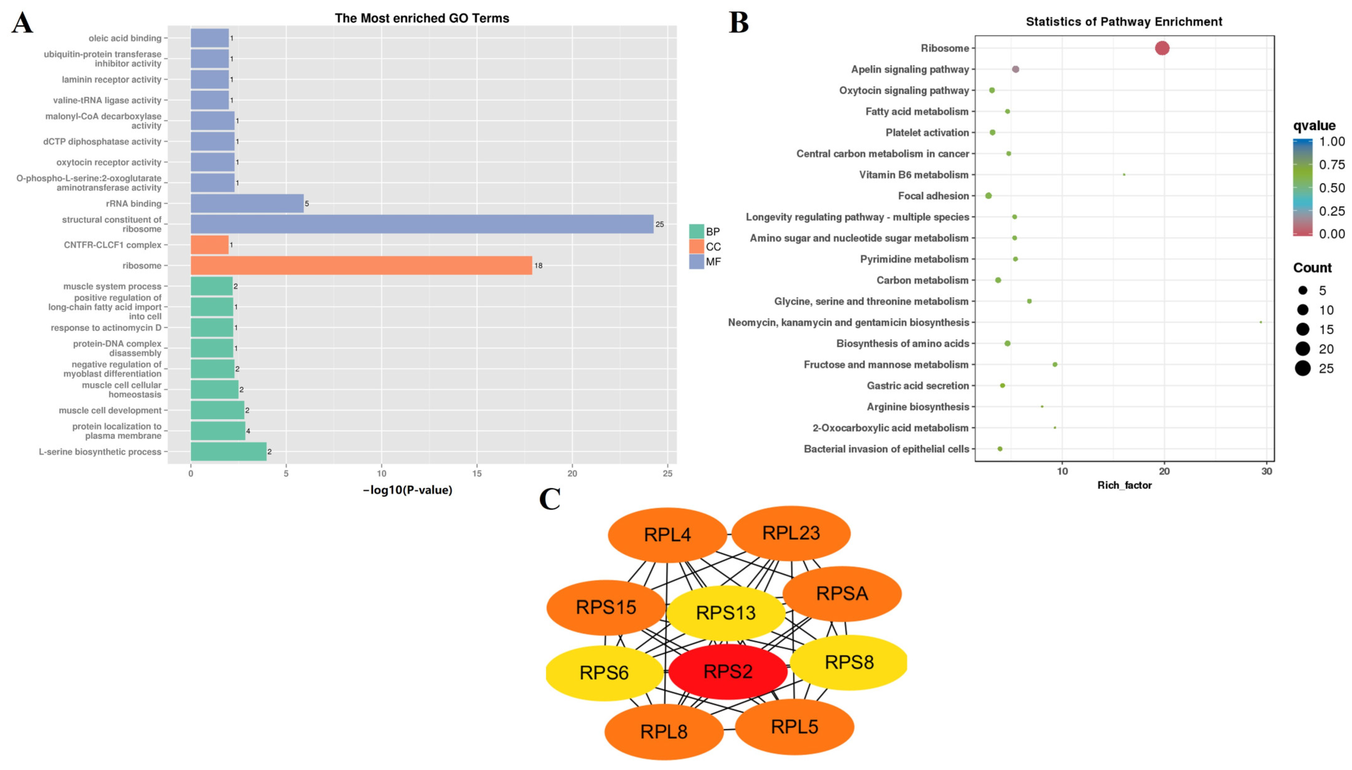 Animals 14 01770 g009