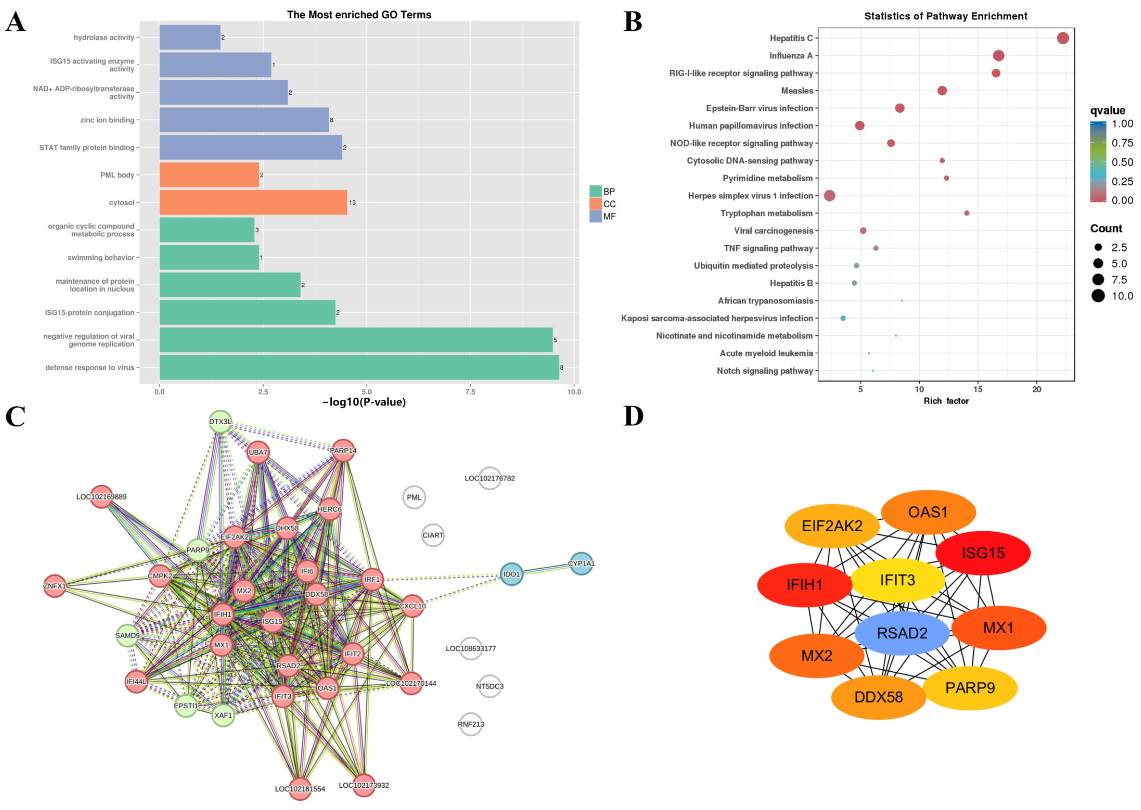 Animals 14 01770 g011