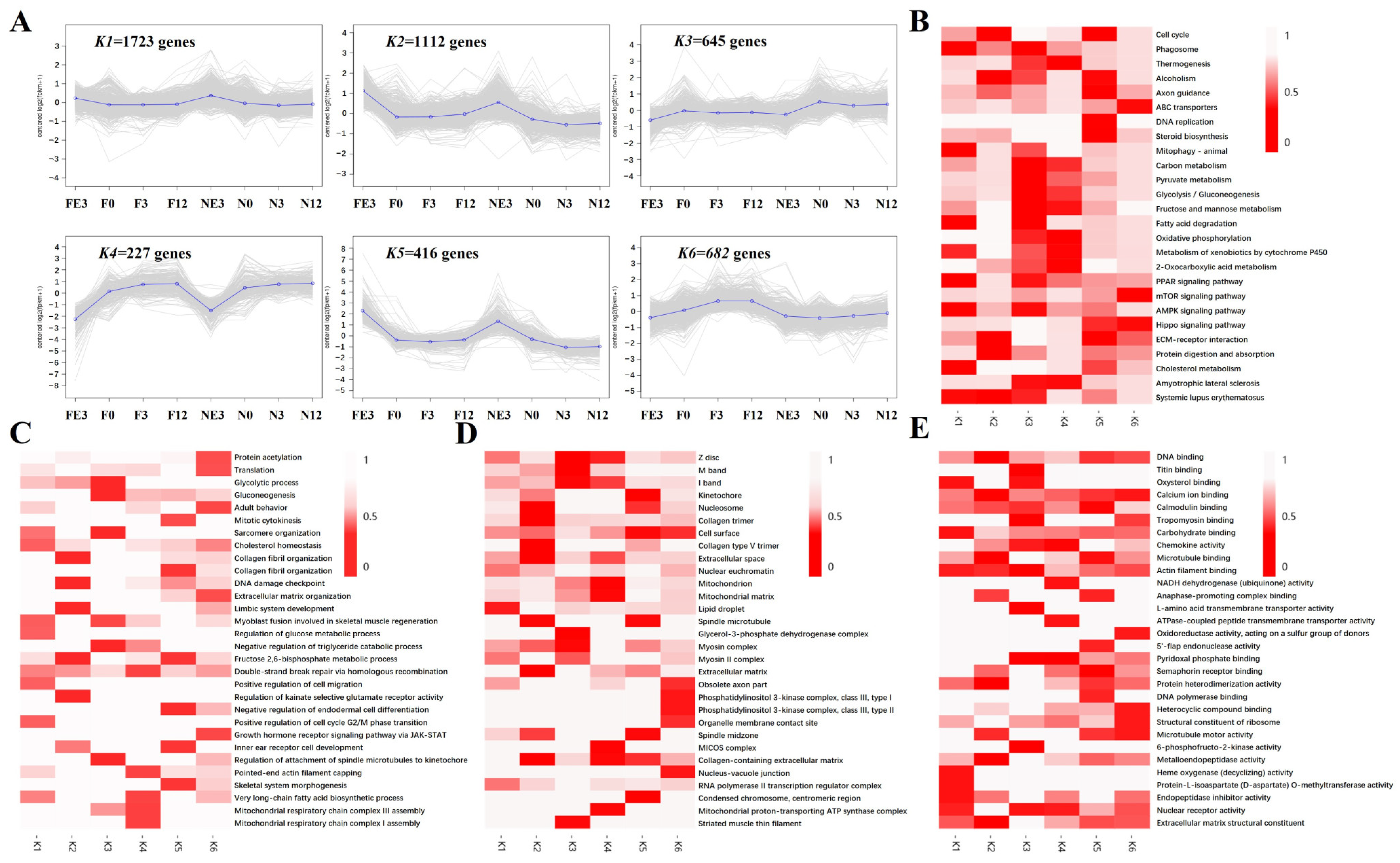 Animals 14 01770 g013