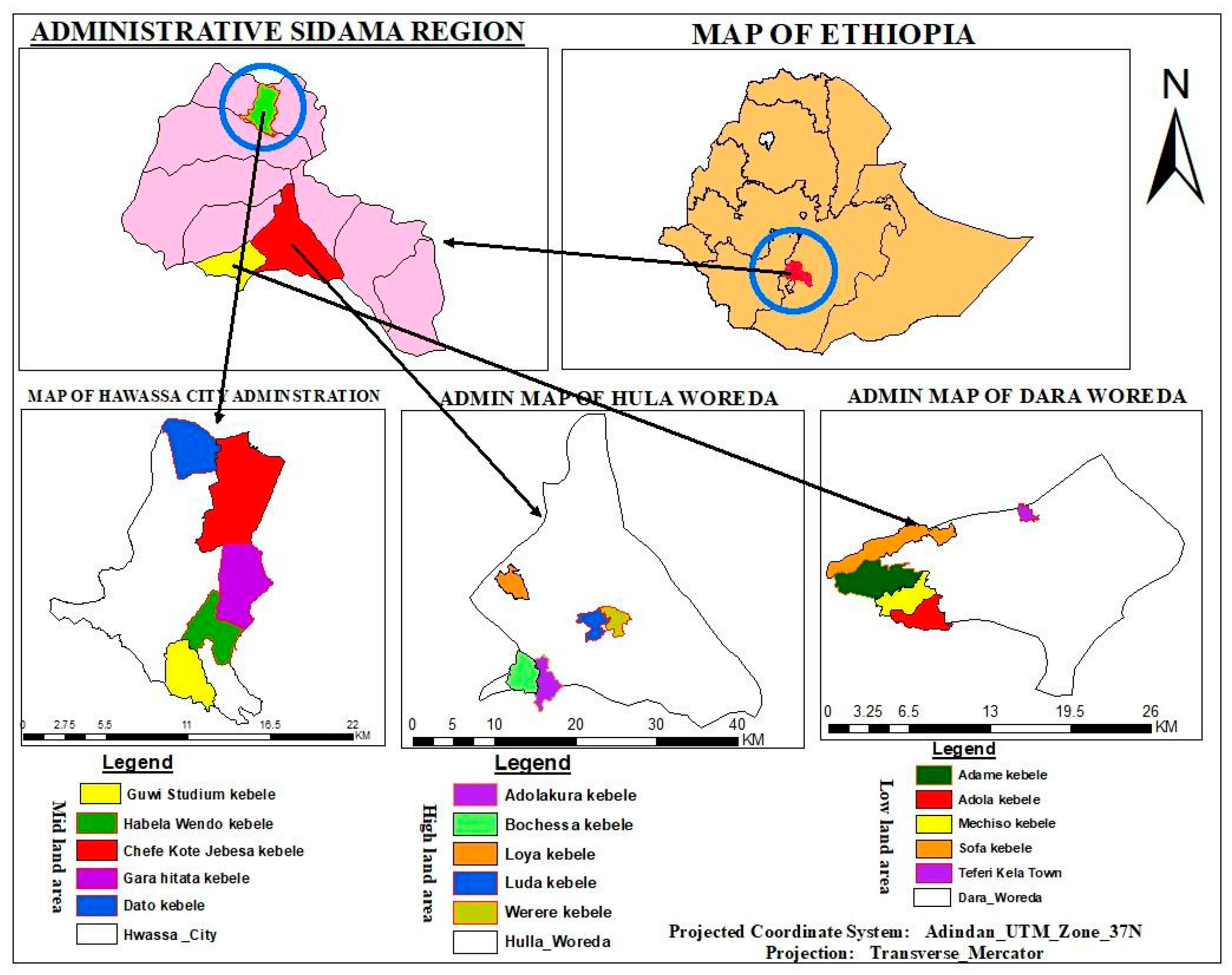 Animals 14 01782 g001