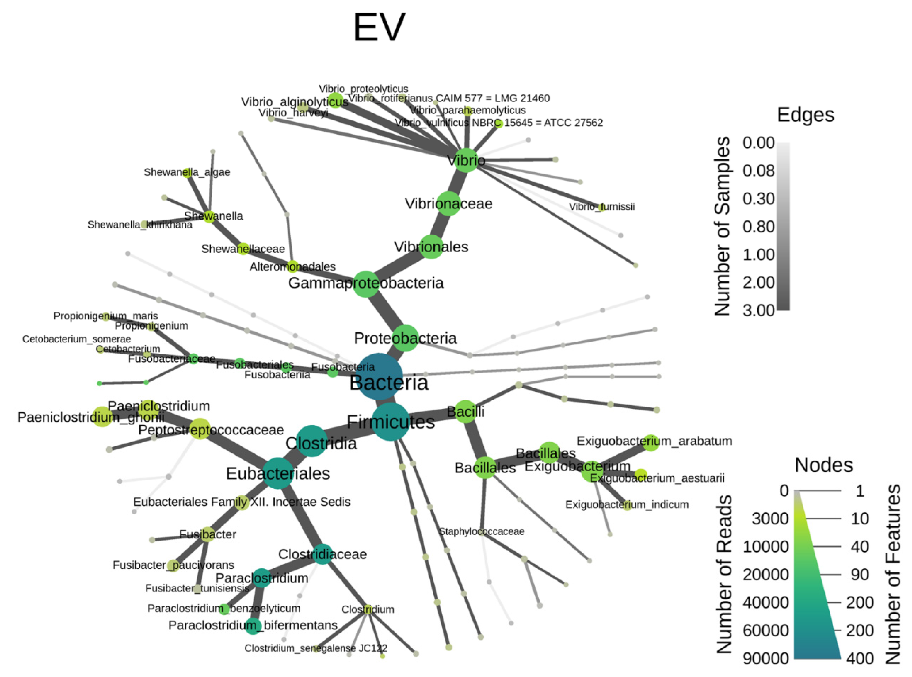 Animals 14 01792 g002b