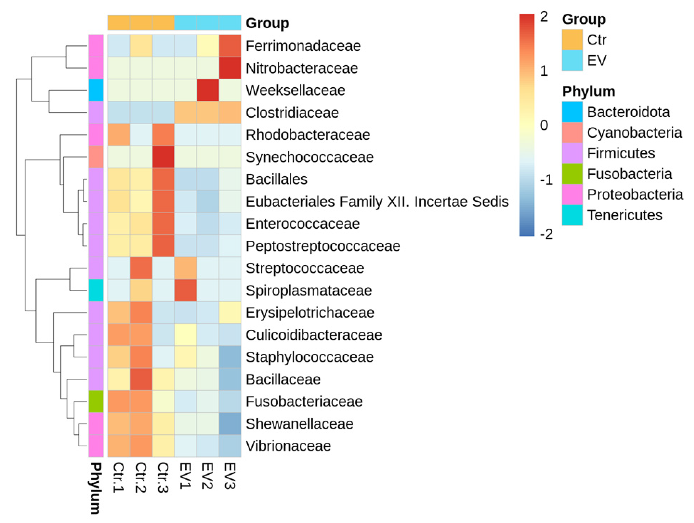 Animals 14 01792 g005