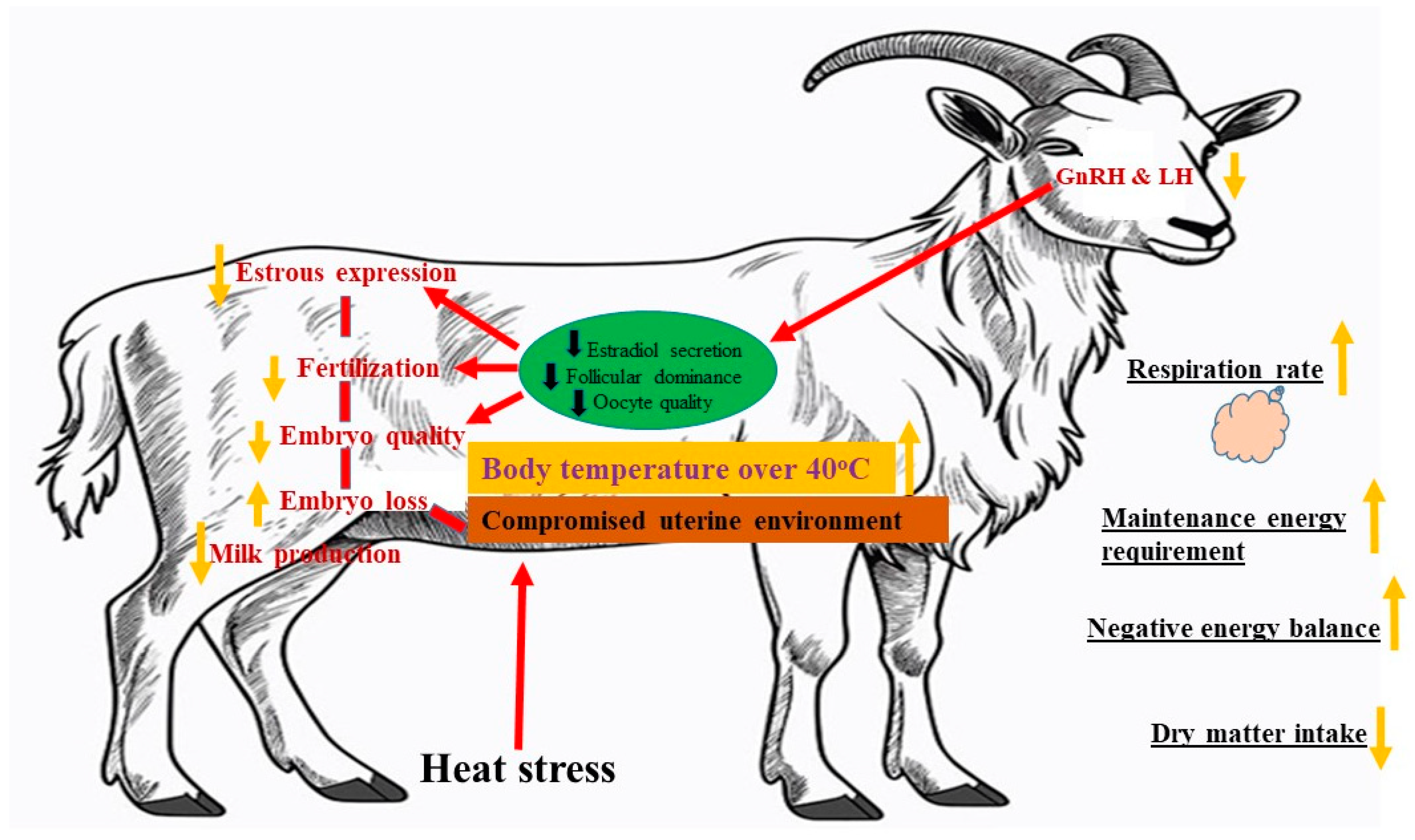 Animals 14 01793 g002 Animals 14 01793 g002