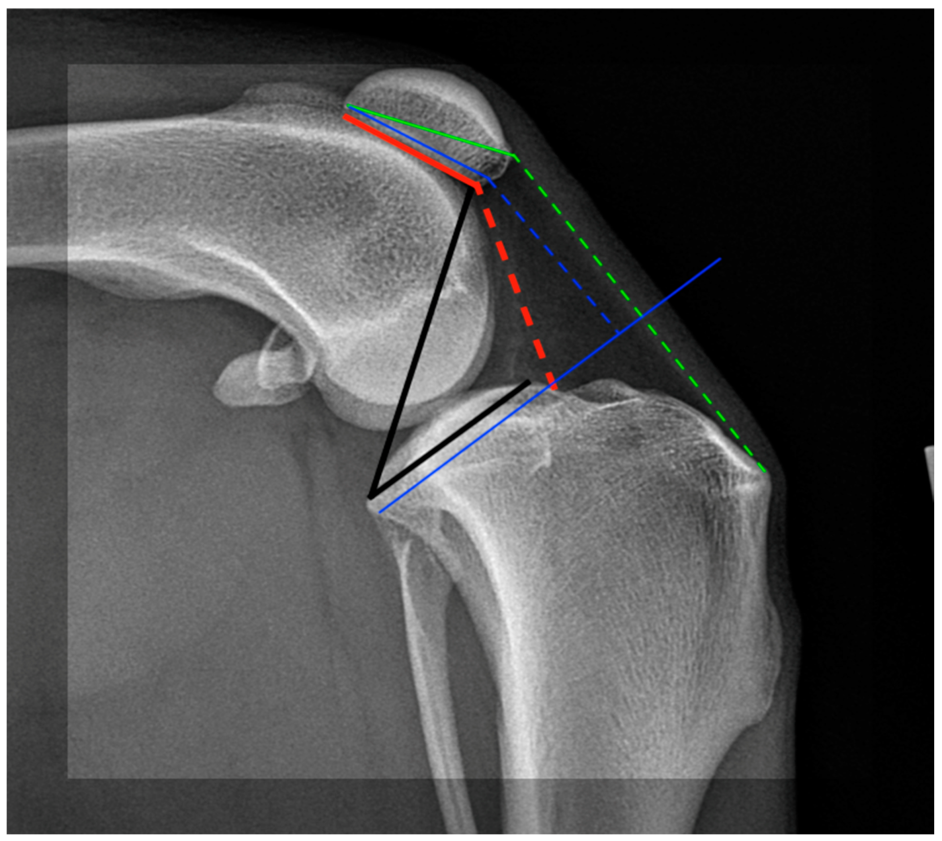 Animals 14 01798 g001