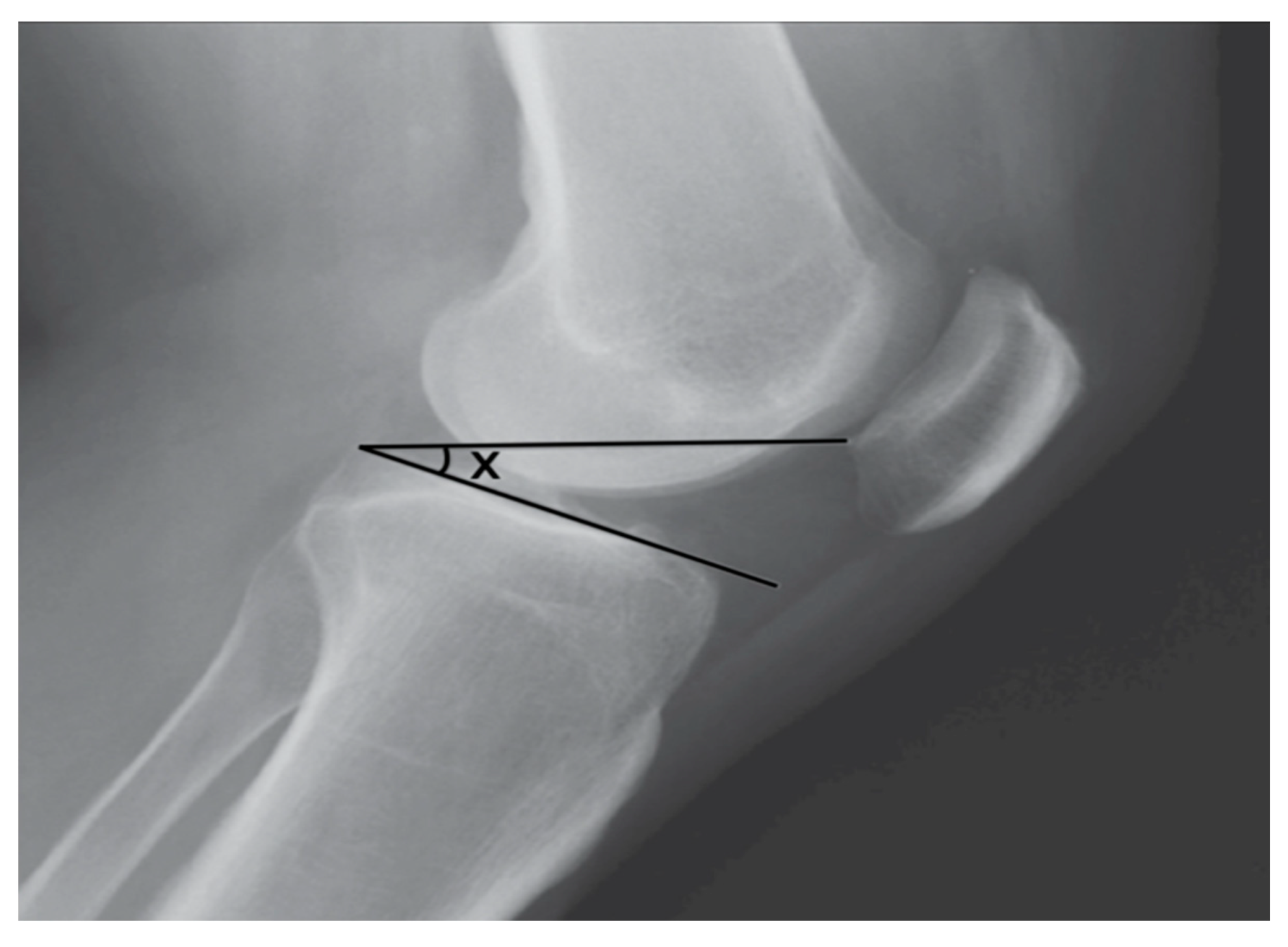 Animals 14 01798 g002