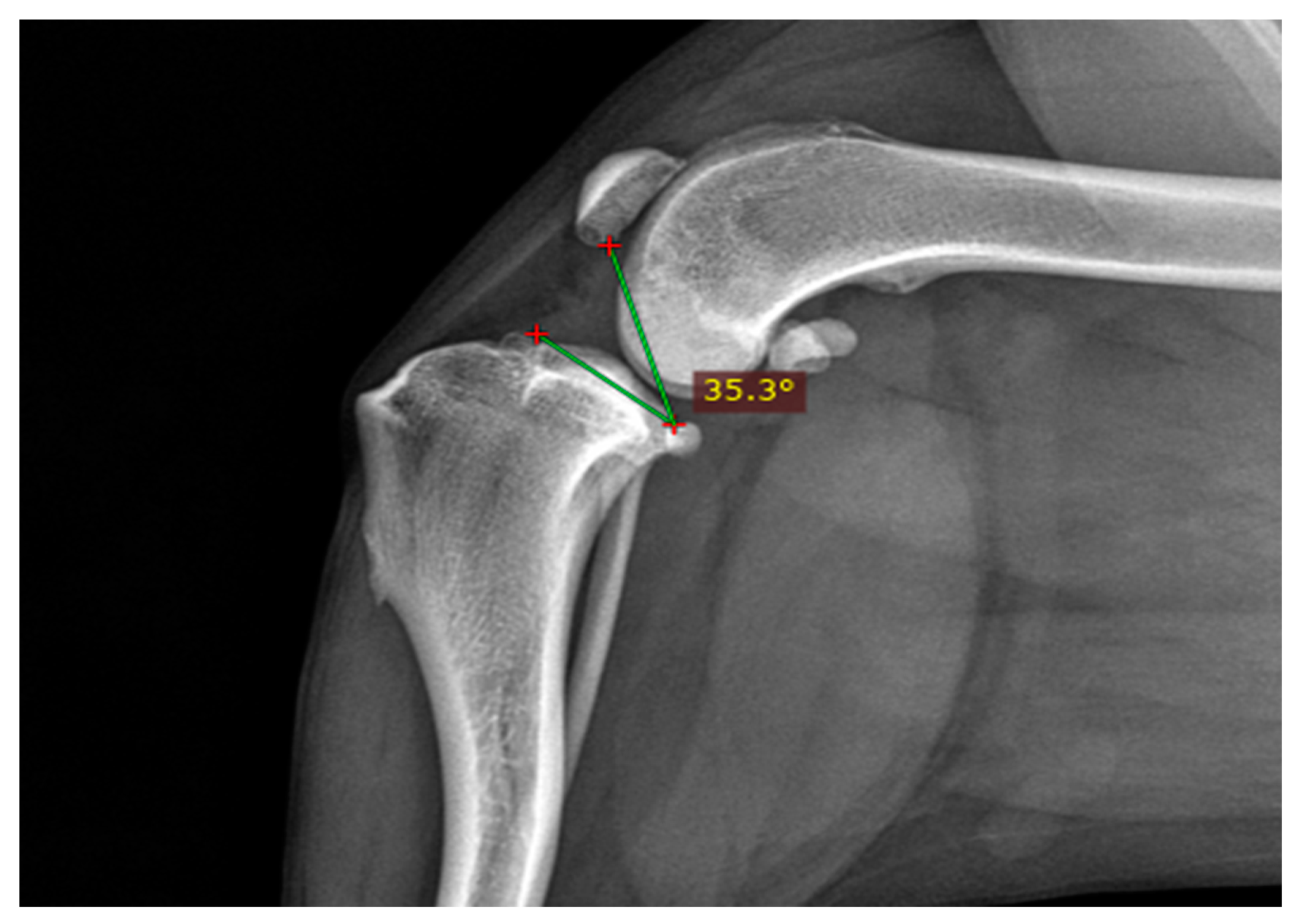 Animals 14 01798 g003