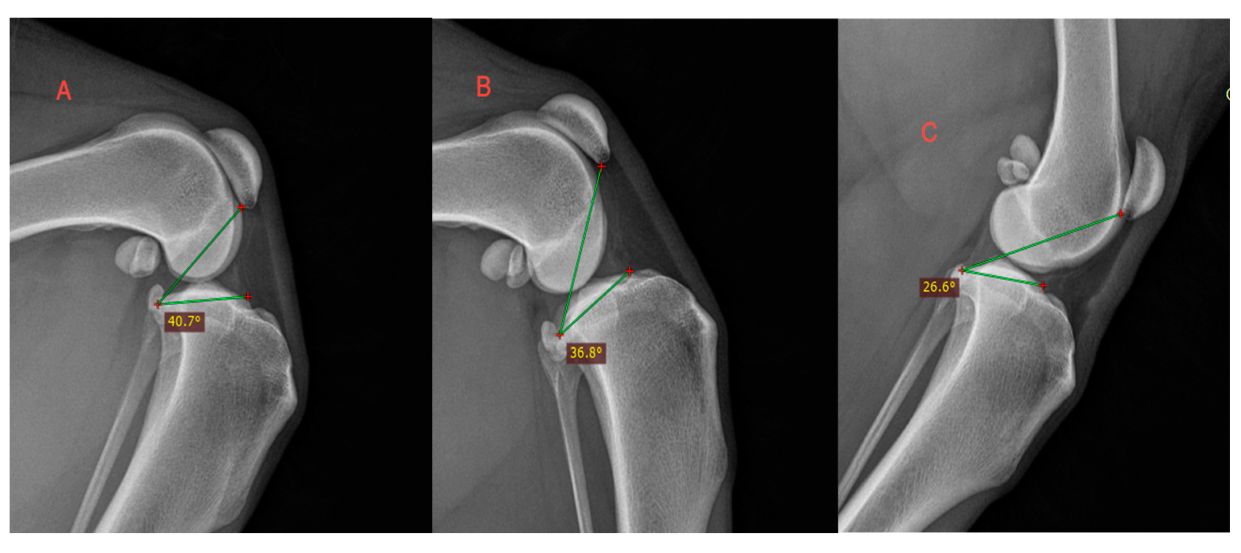 Animals 14 01798 g004