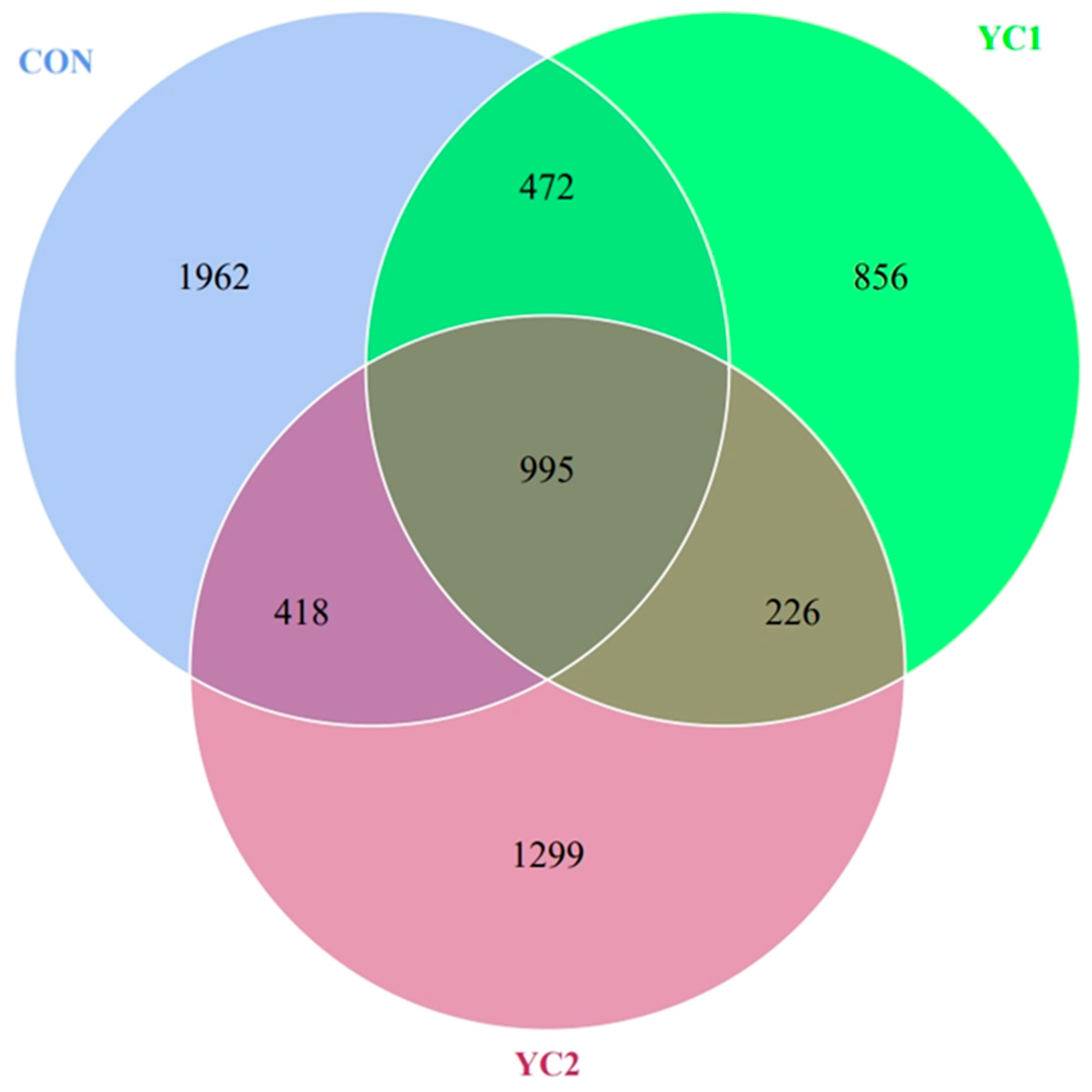 Animals 14 01799 g001