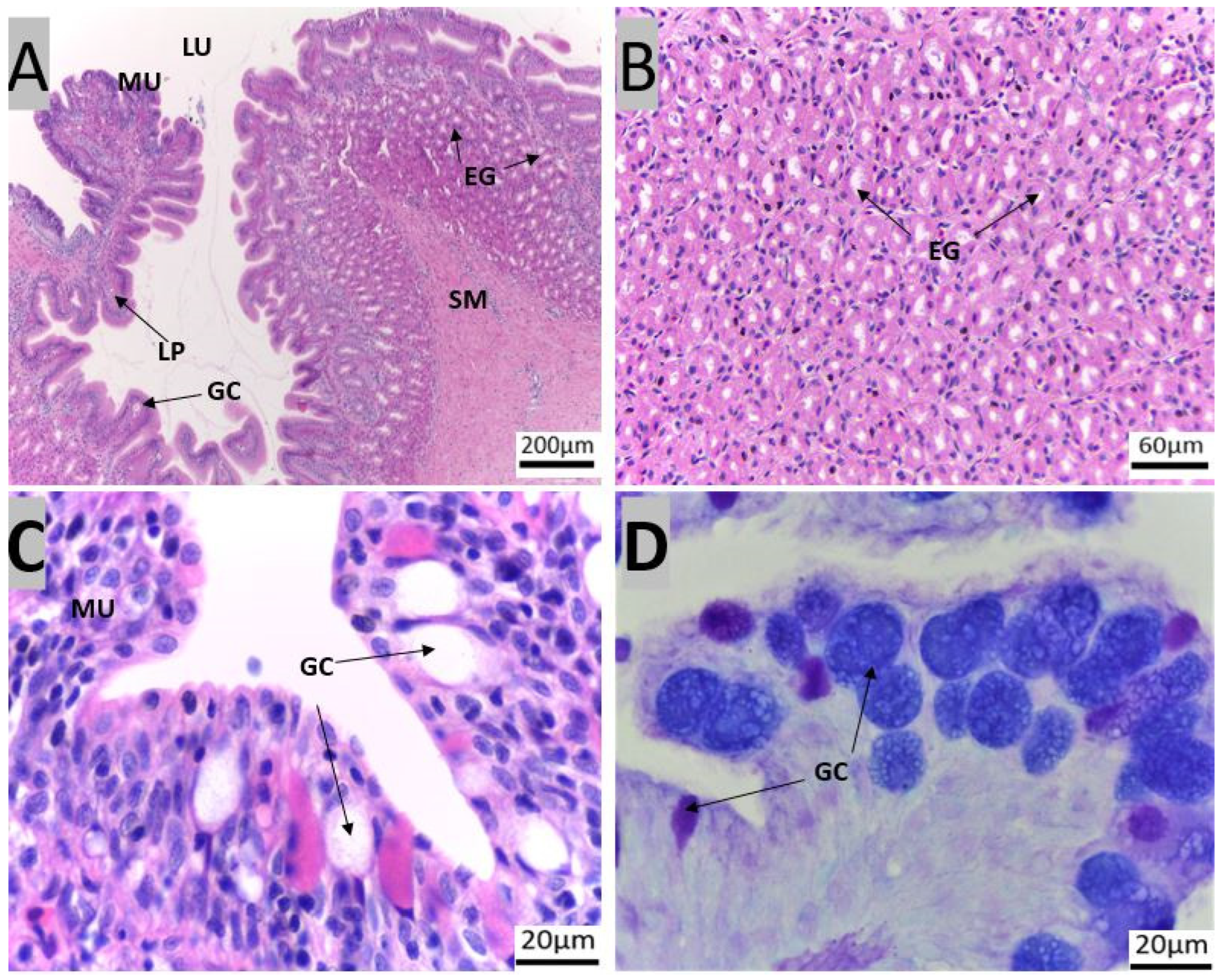 Animals 14 01803 g003