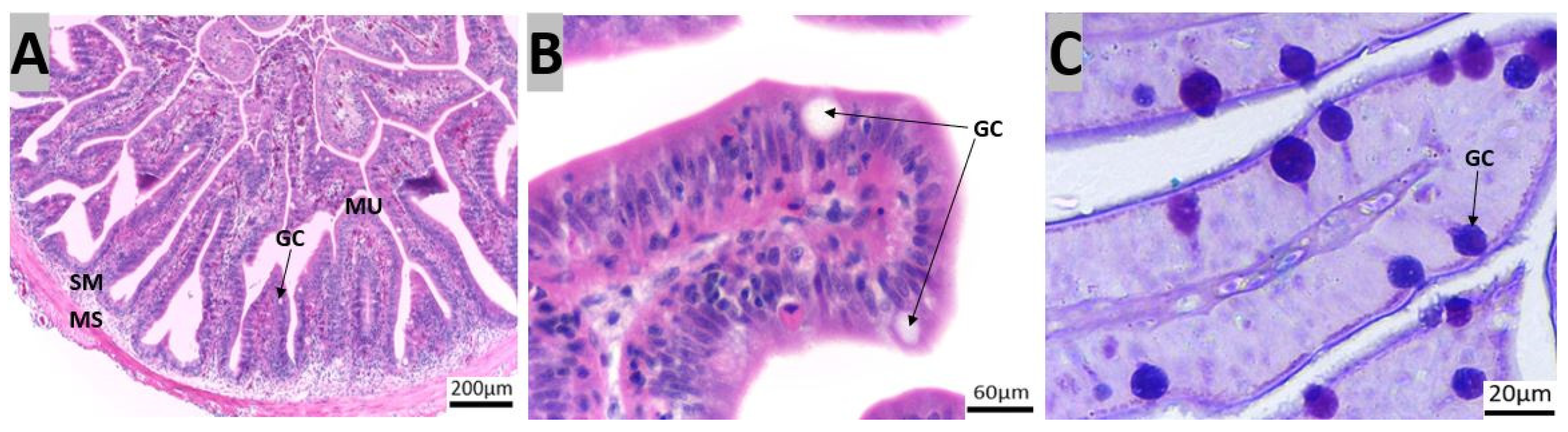 Animals 14 01803 g005