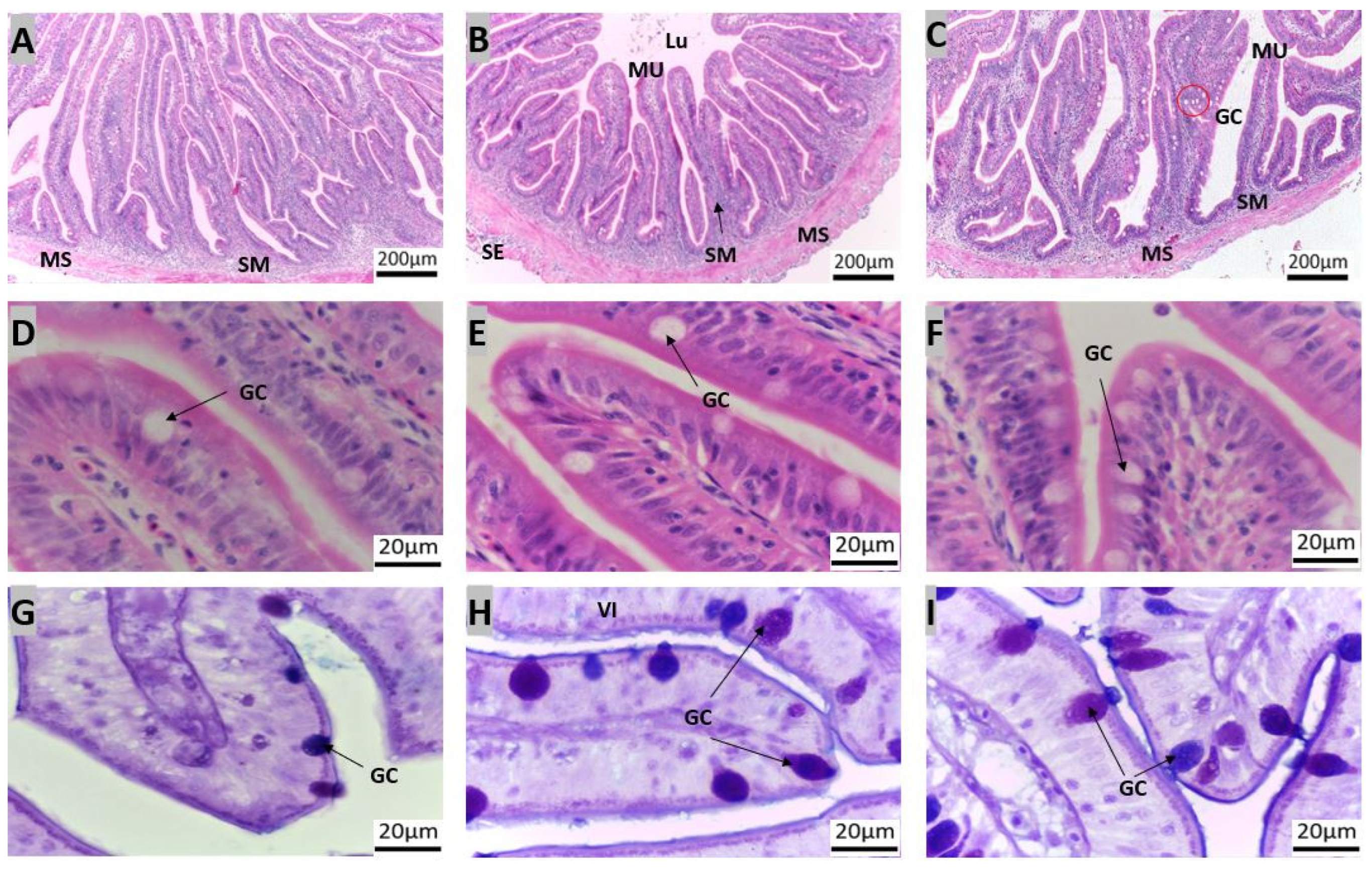 Animals 14 01803 g006
