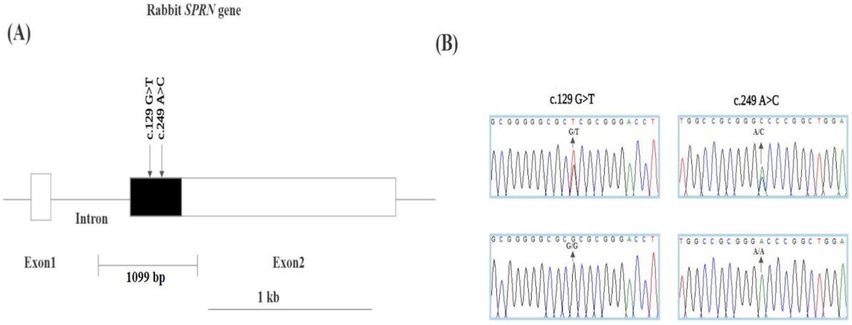 Animals 14 01807 g001 Animals 14 01807 g001