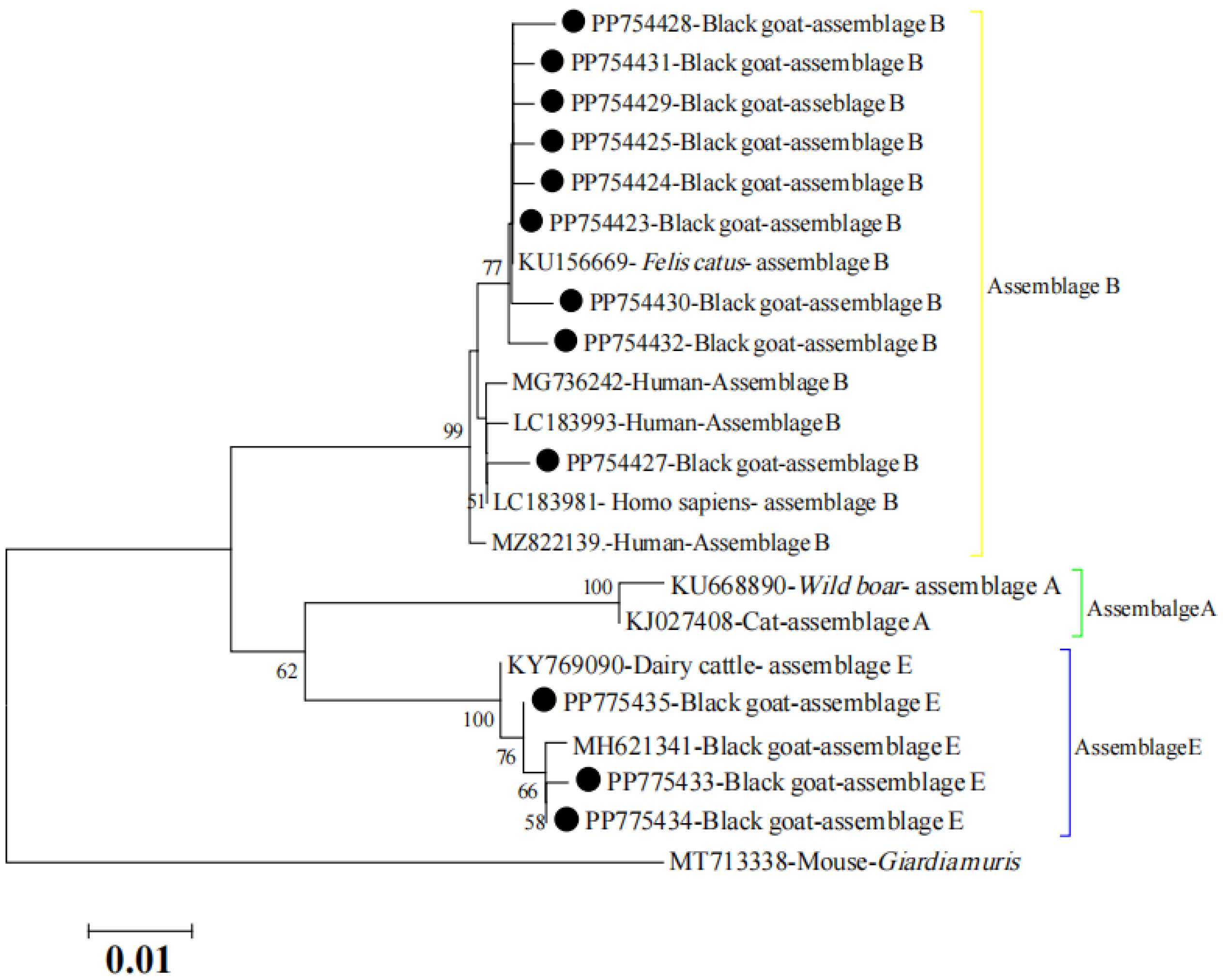 Animals 14 01808 g002