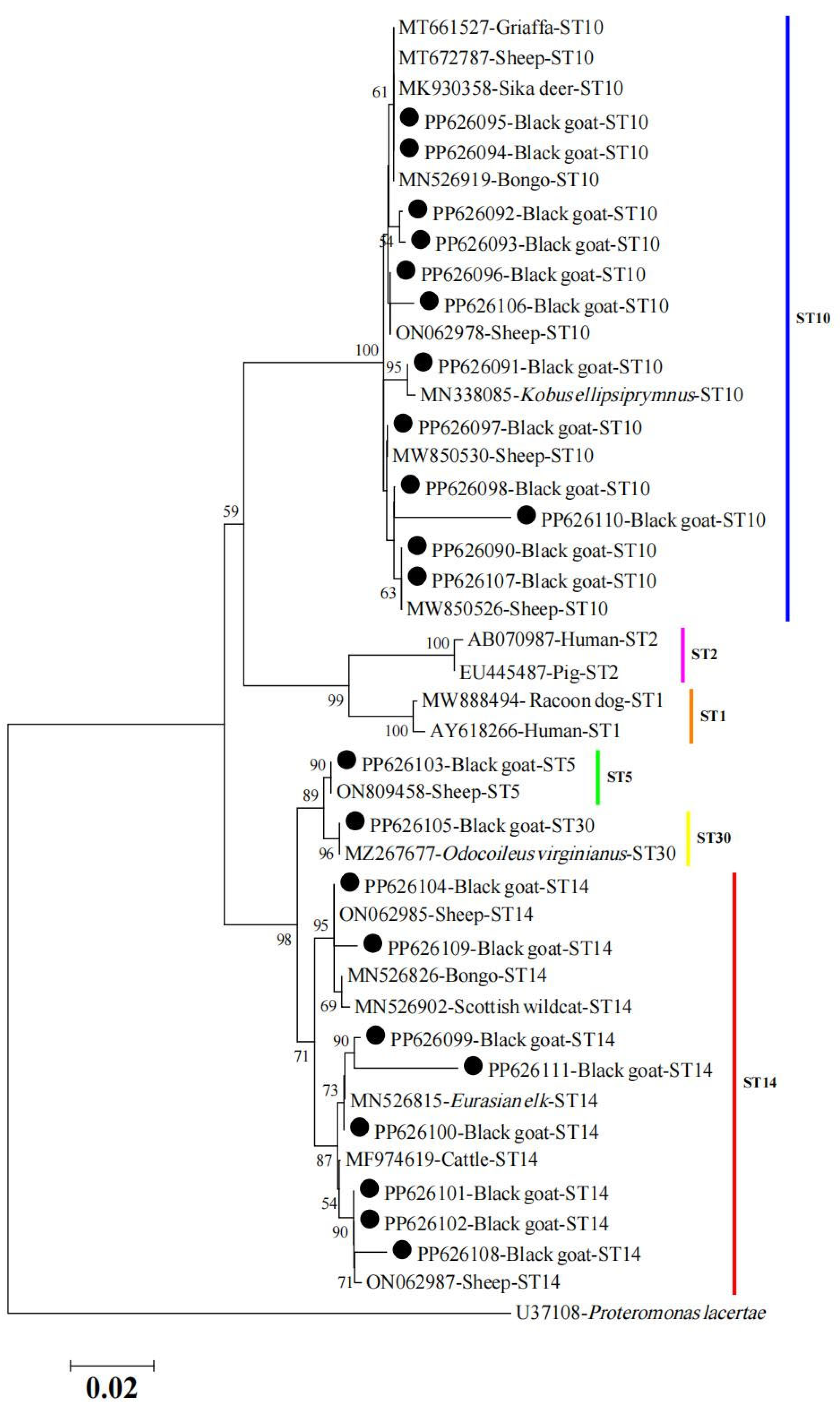 Animals 14 01808 g003