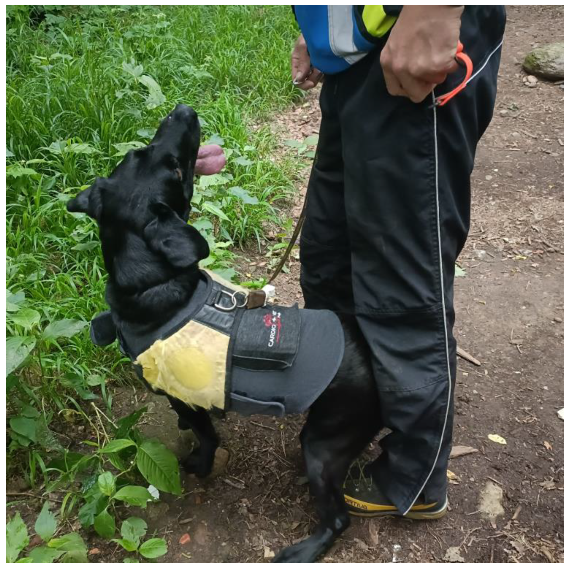 Animals 14 01818 g001