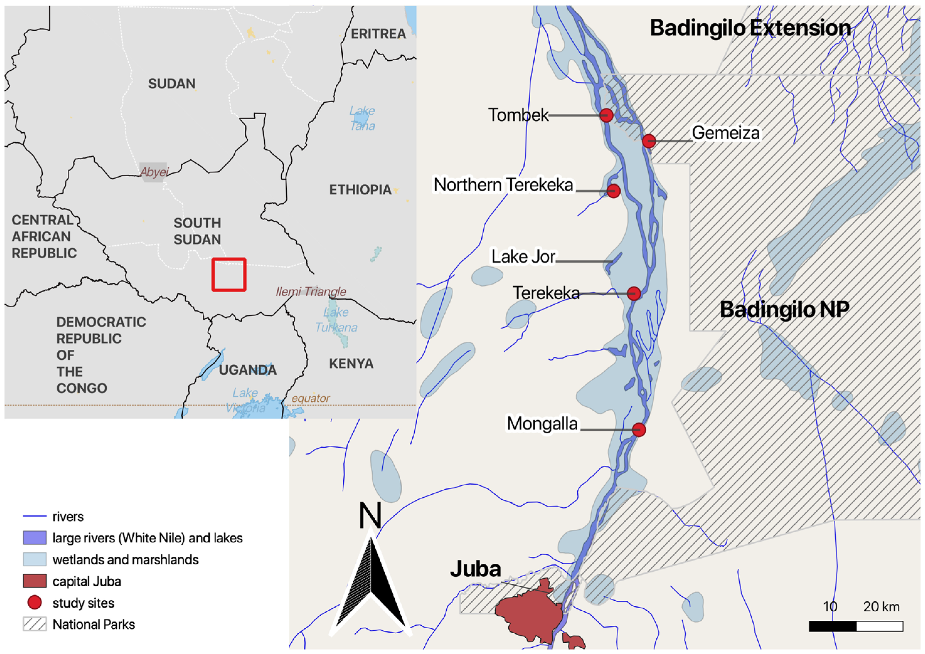 Animals 14 01819 g001