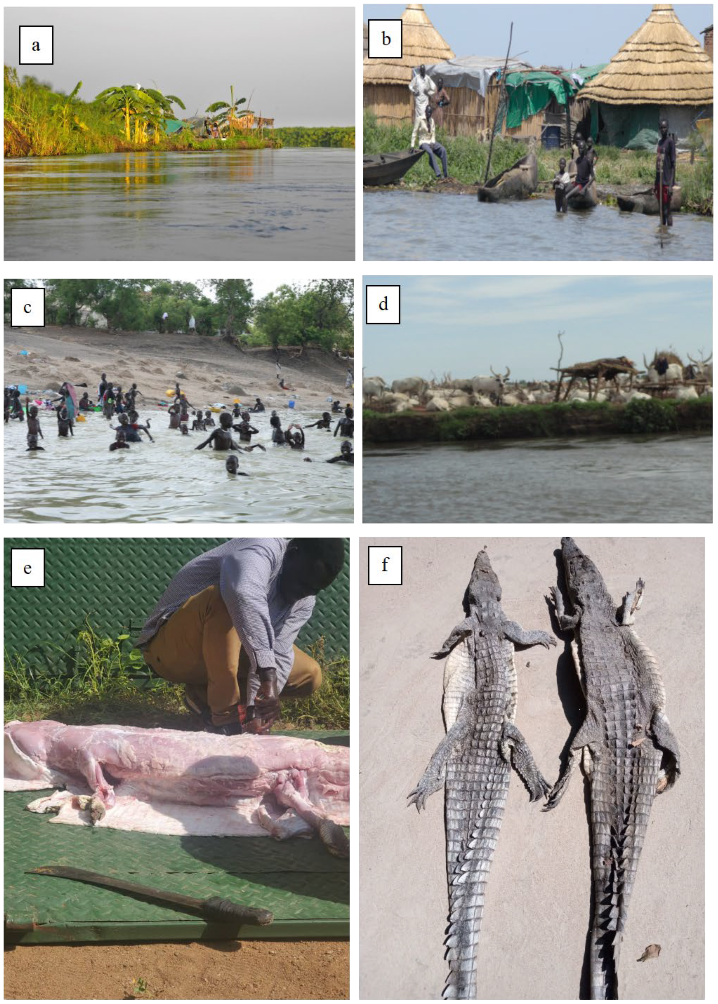 Animals 14 01819 g002