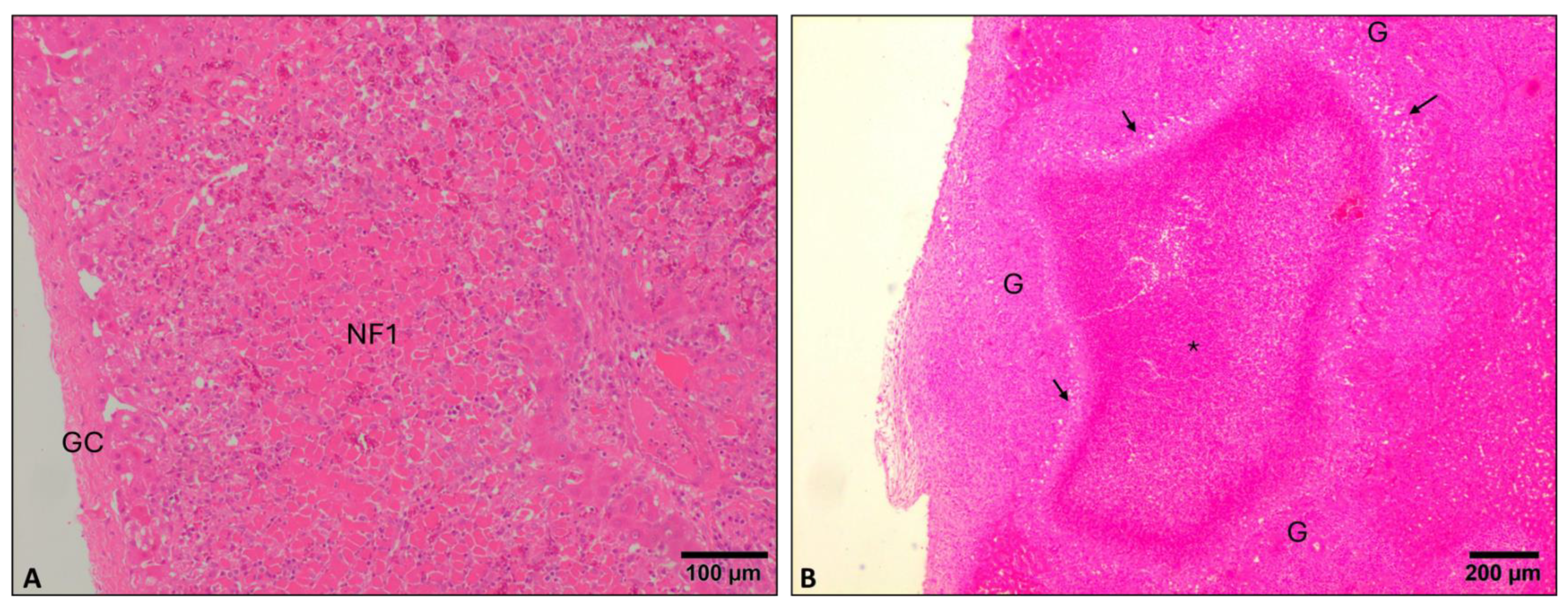 Animals 14 01833 g002 Animals 14 01833 g002