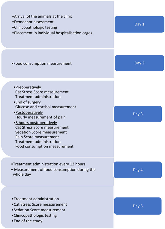 gabapentin in cats eye