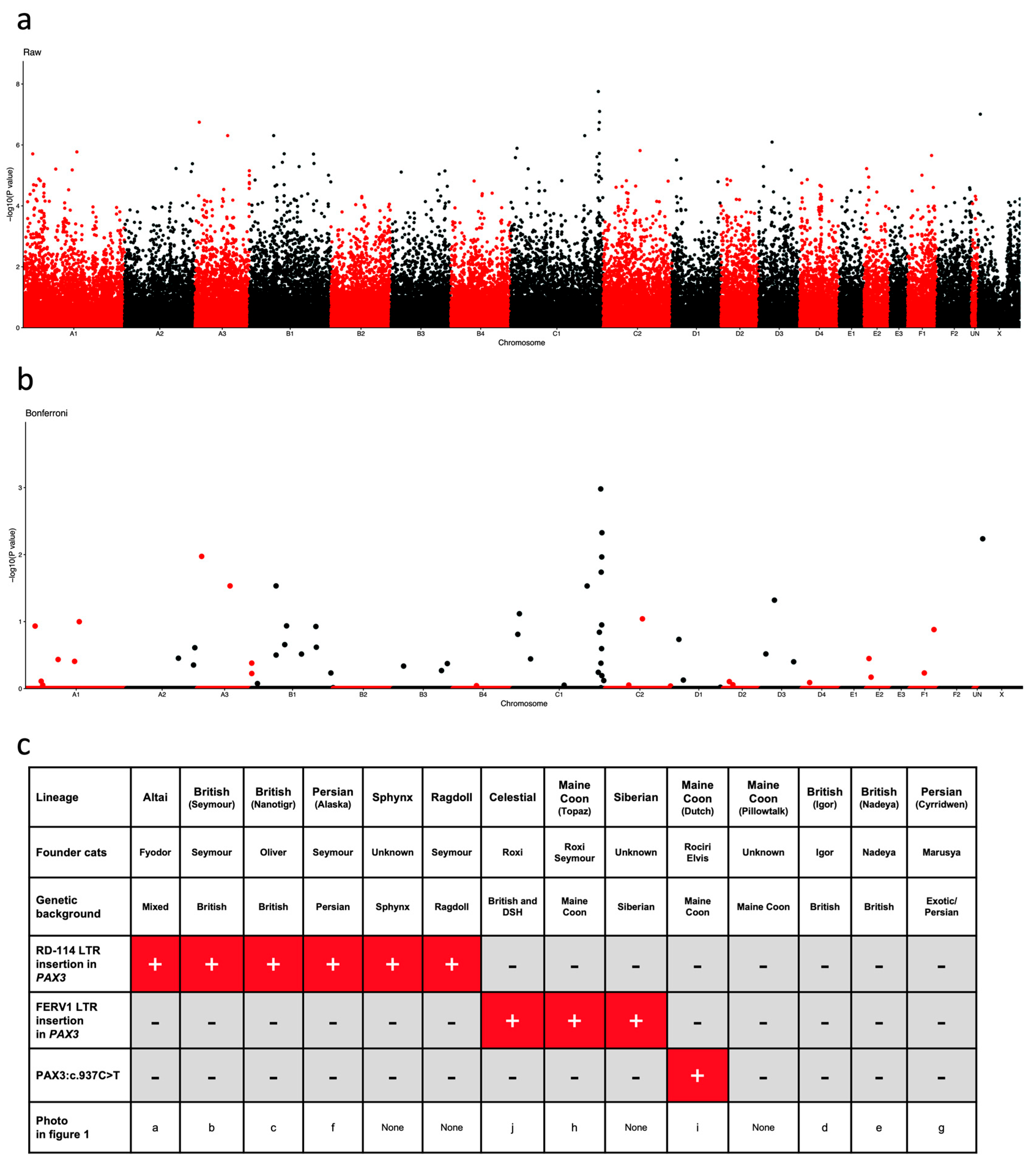 Animals 14 01845 g002