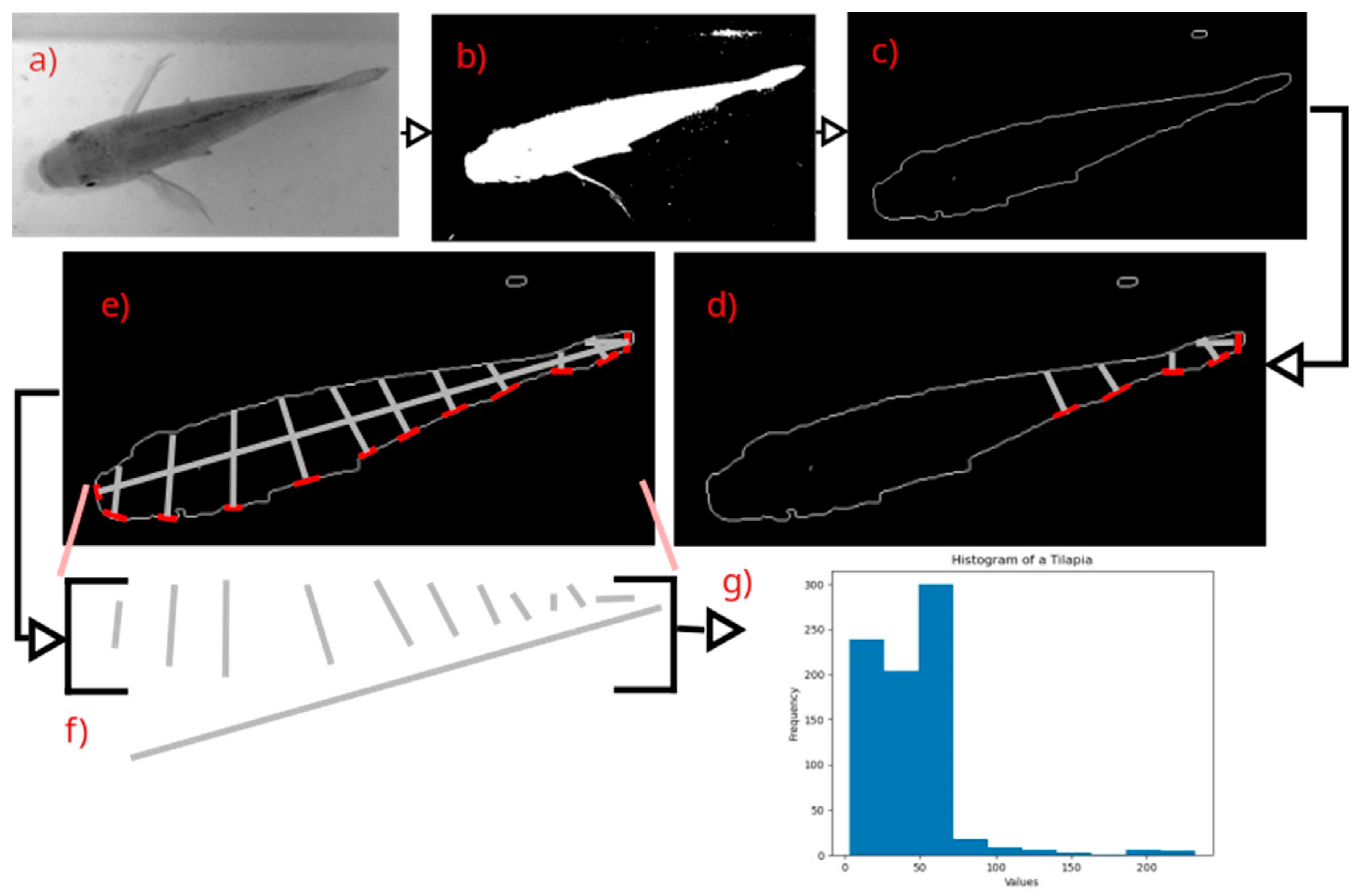 Animals 14 01850 g007