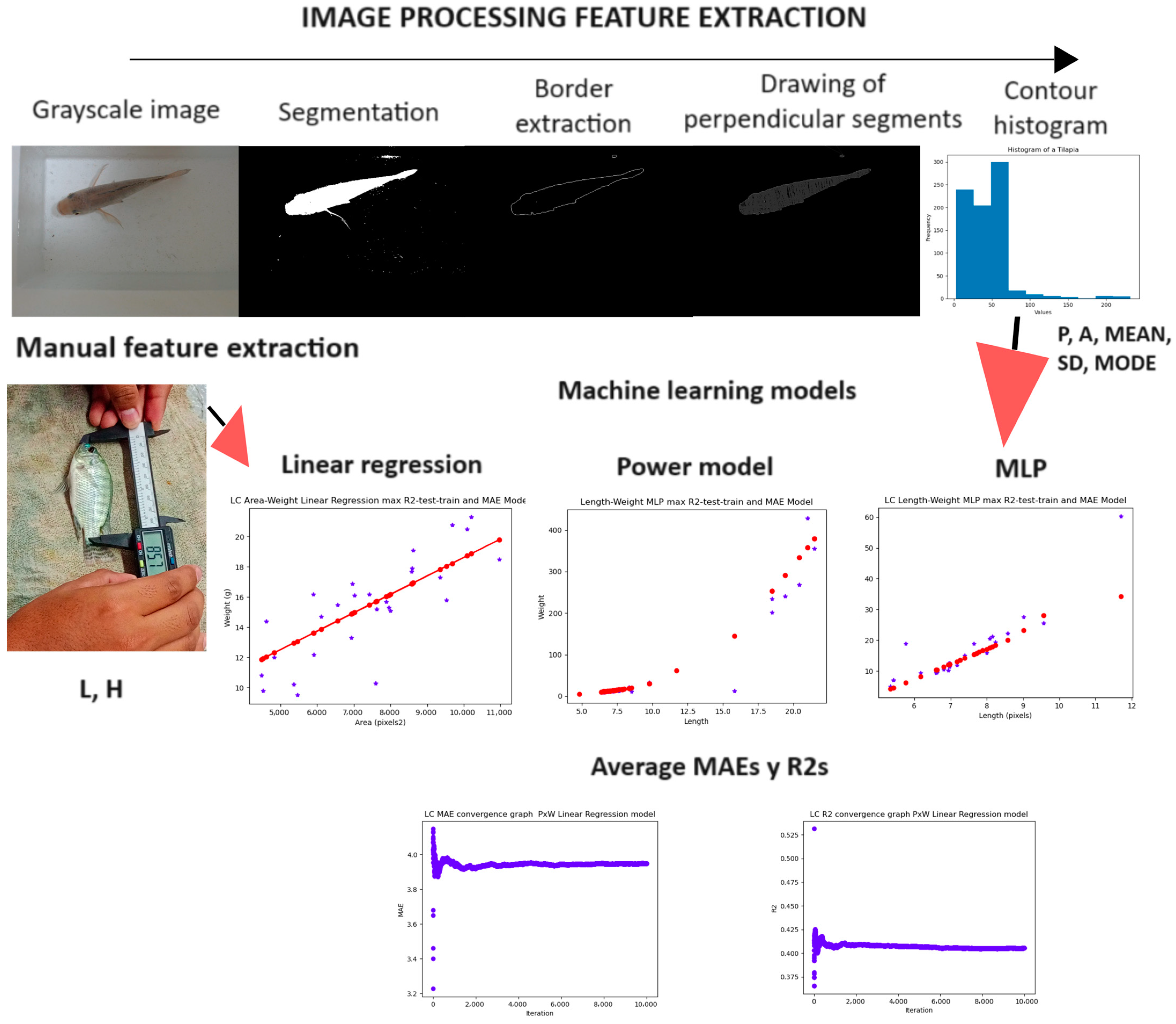 Animals 14 01850 g009