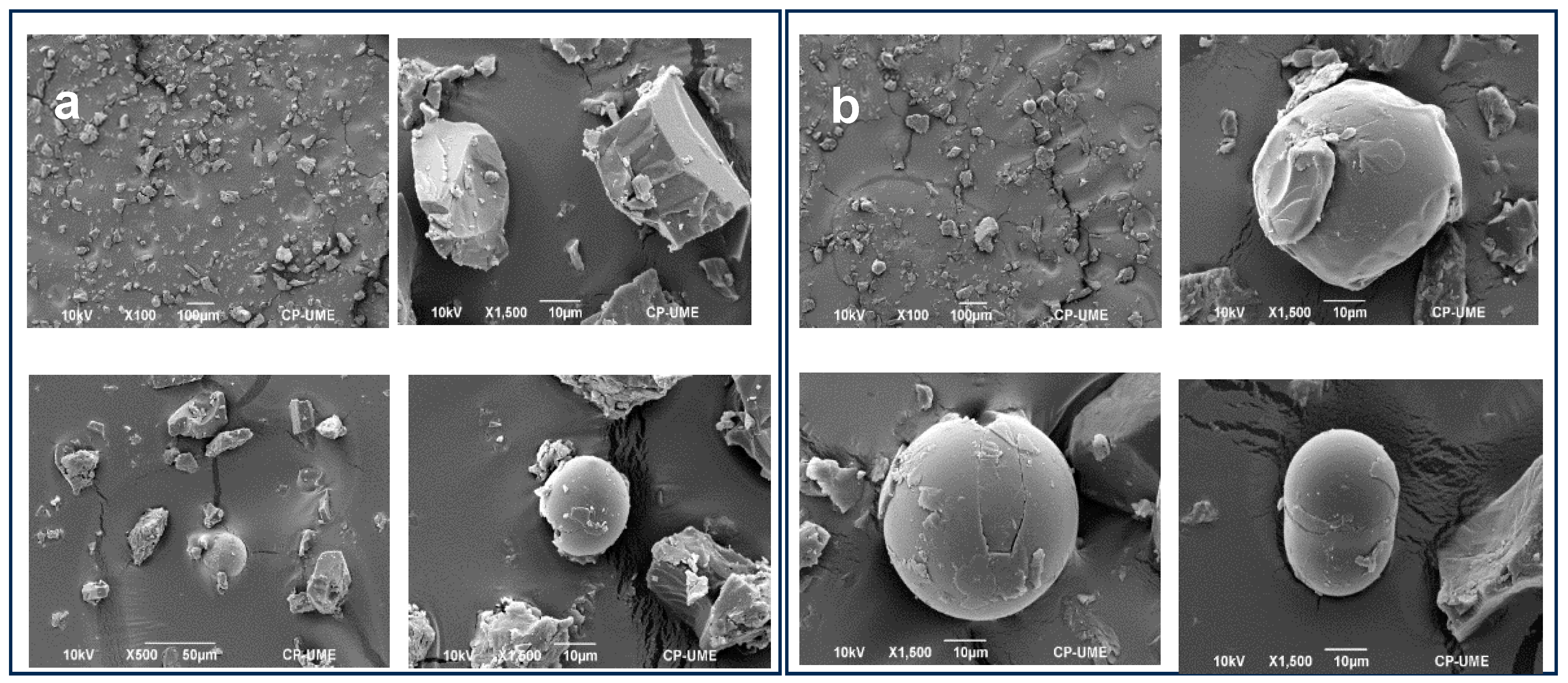 Animals 14 01857 g001