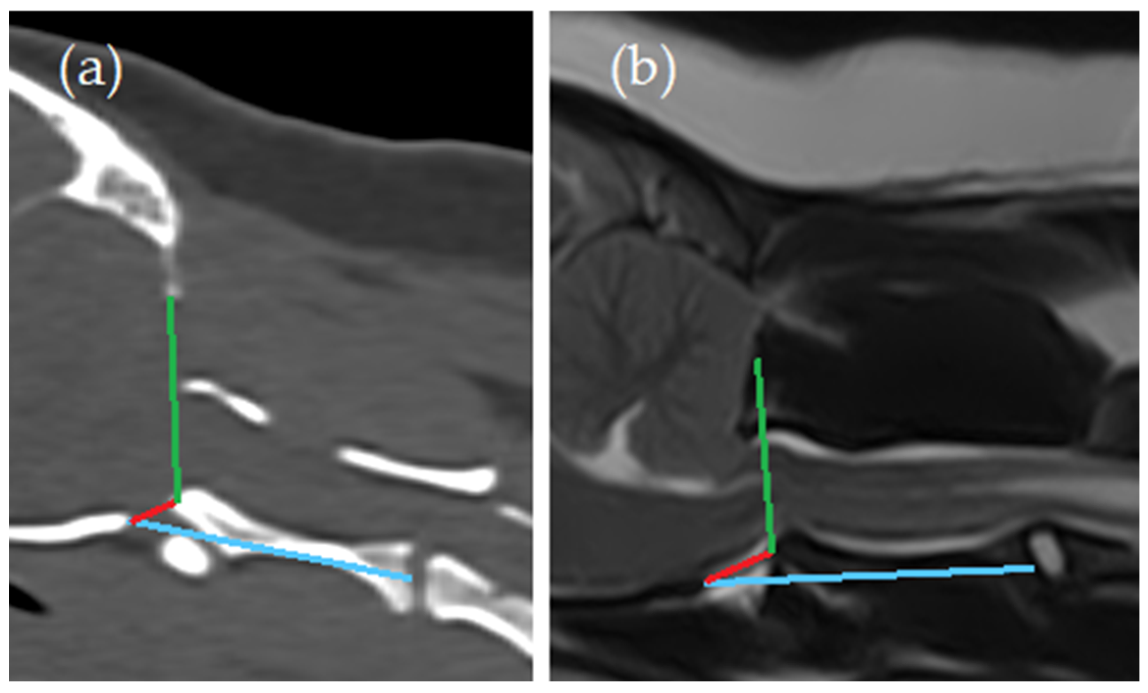 Animals 14 01859 g003