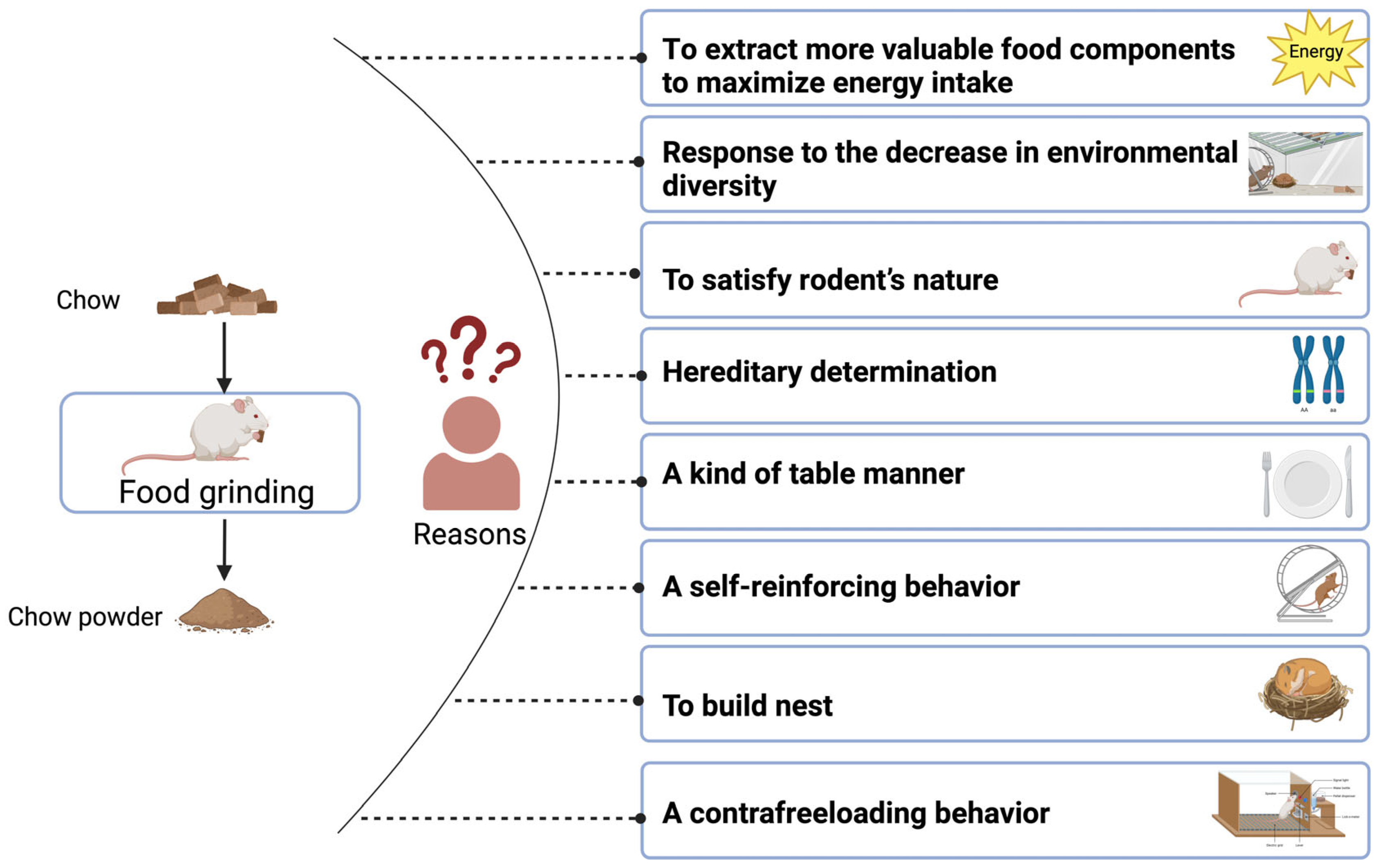 Animals 14 01865 g001 Animals 14 01865 g001