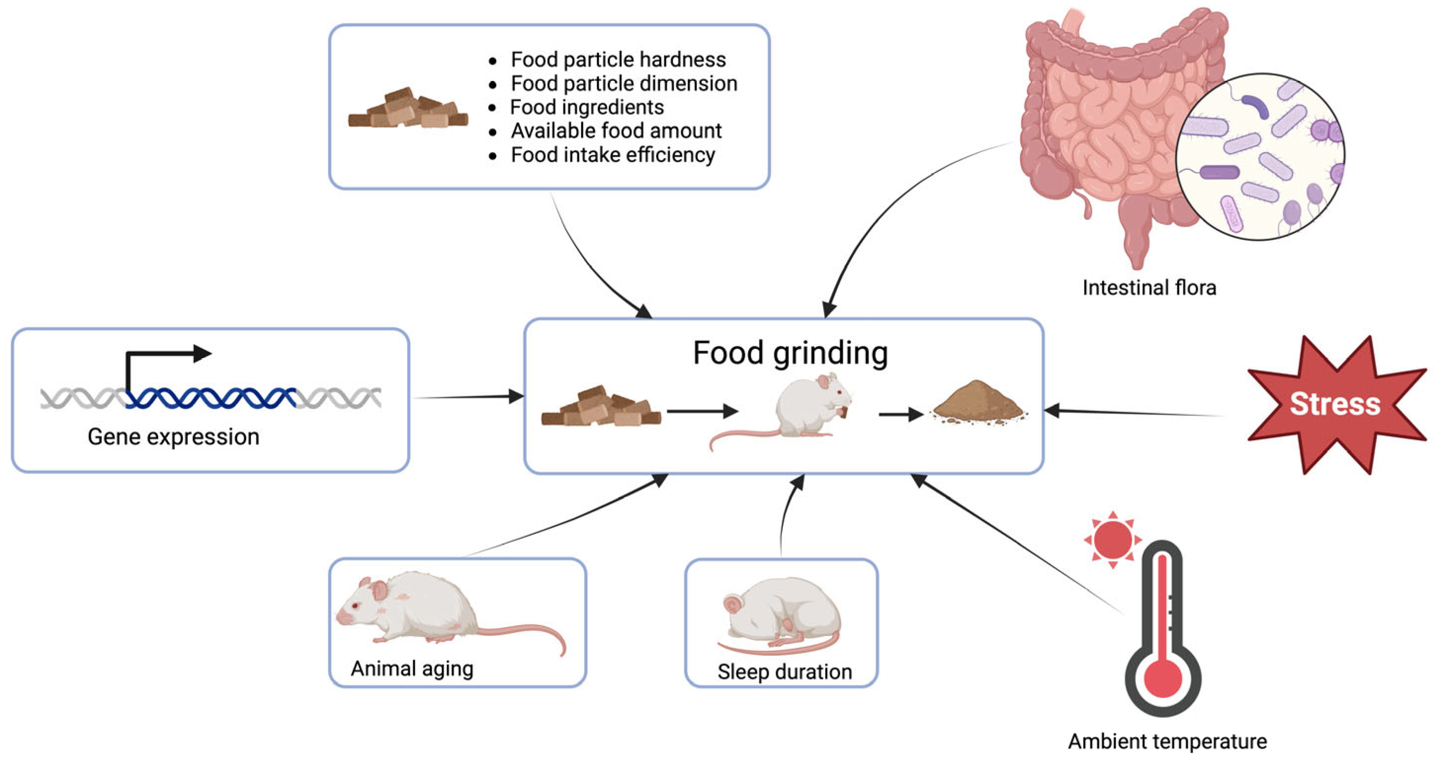 Animals 14 01865 g002 Animals 14 01865 g002