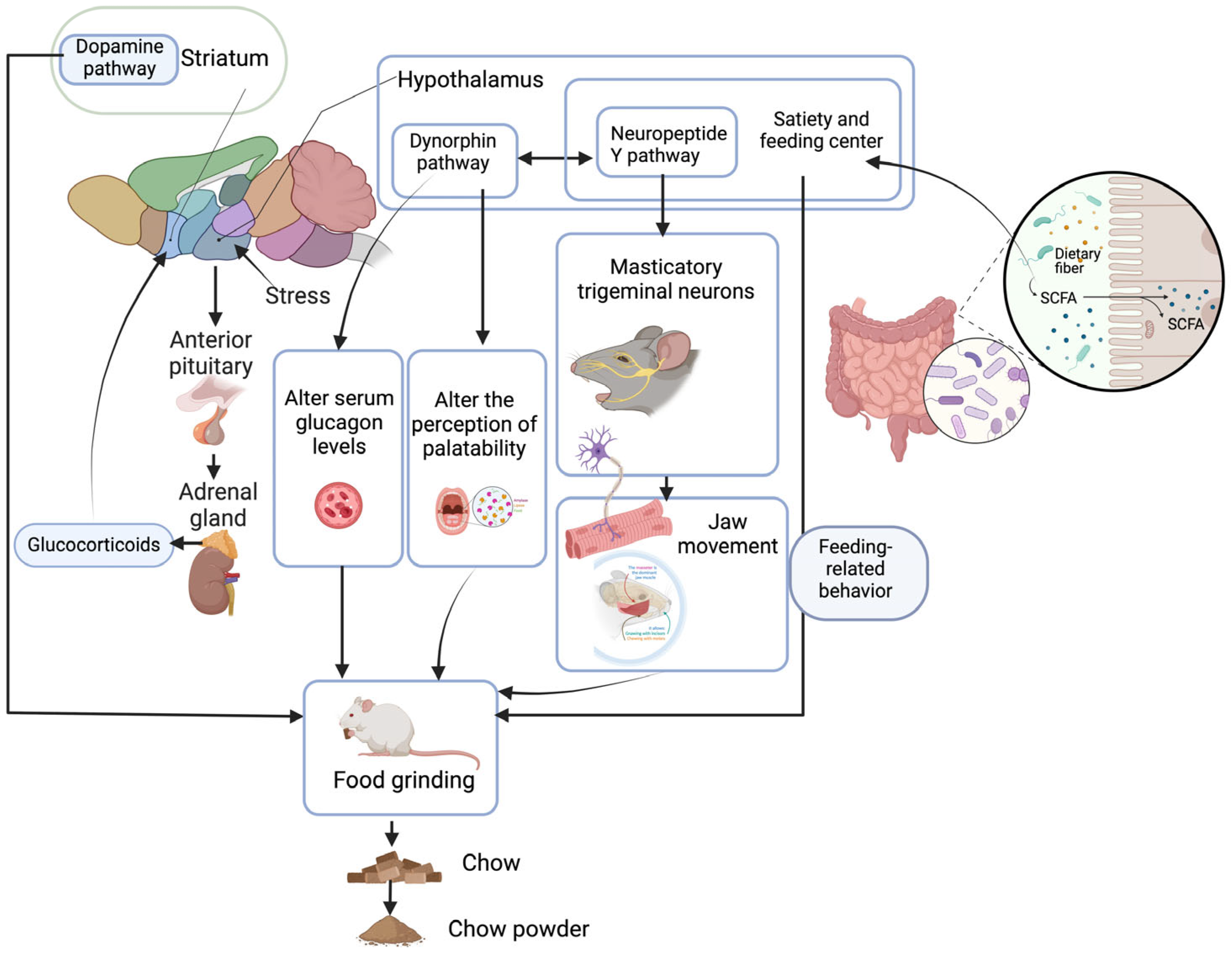 Animals 14 01865 g003 Animals 14 01865 g003