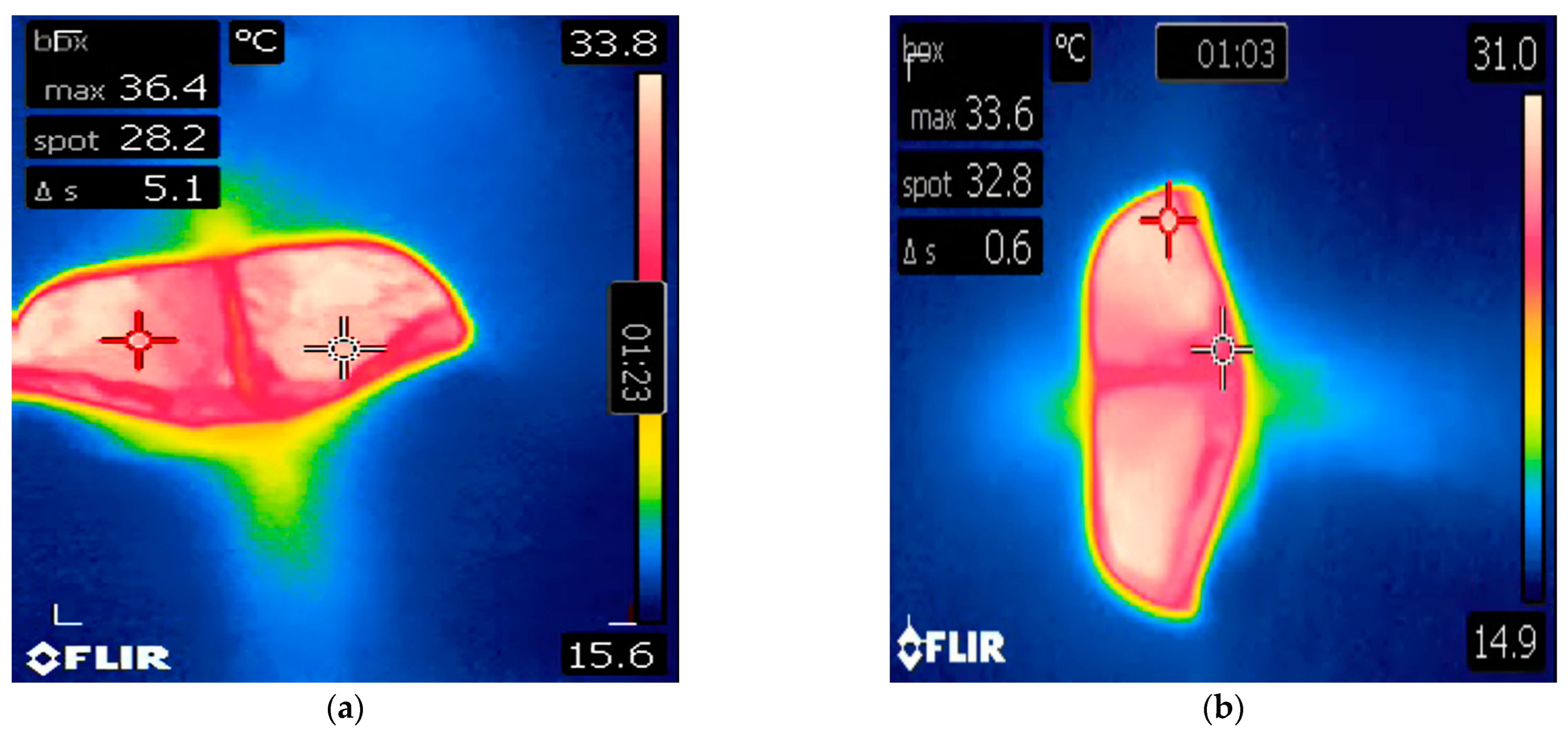 Animals 14 01867 g003