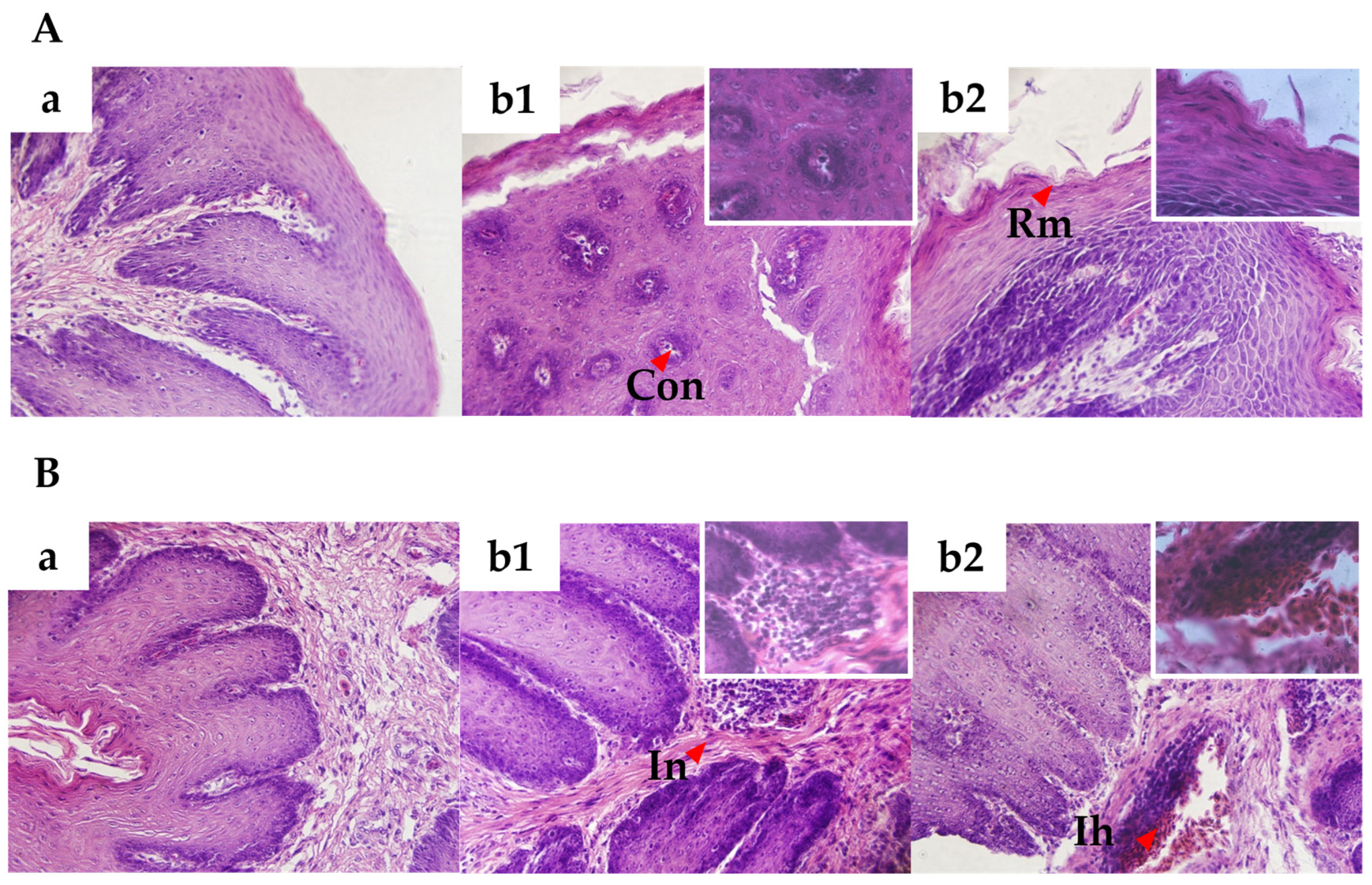 Animals 14 01869 g002